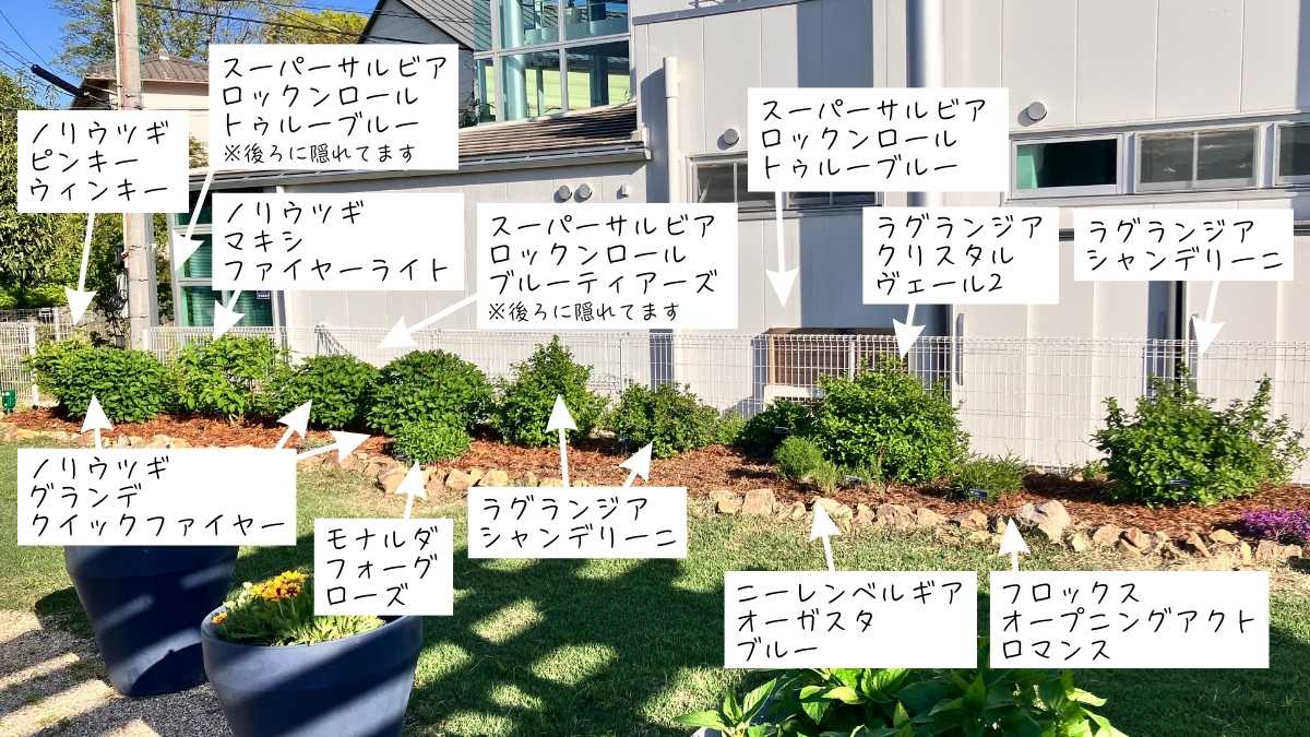 PWガーデン エリア8 | PROVEN WINNERS (PW)【植物の国際ブランド】