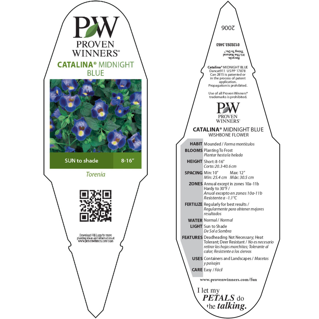 Wishbone Flower | Catalina® Midnight Blue | Proven Winners