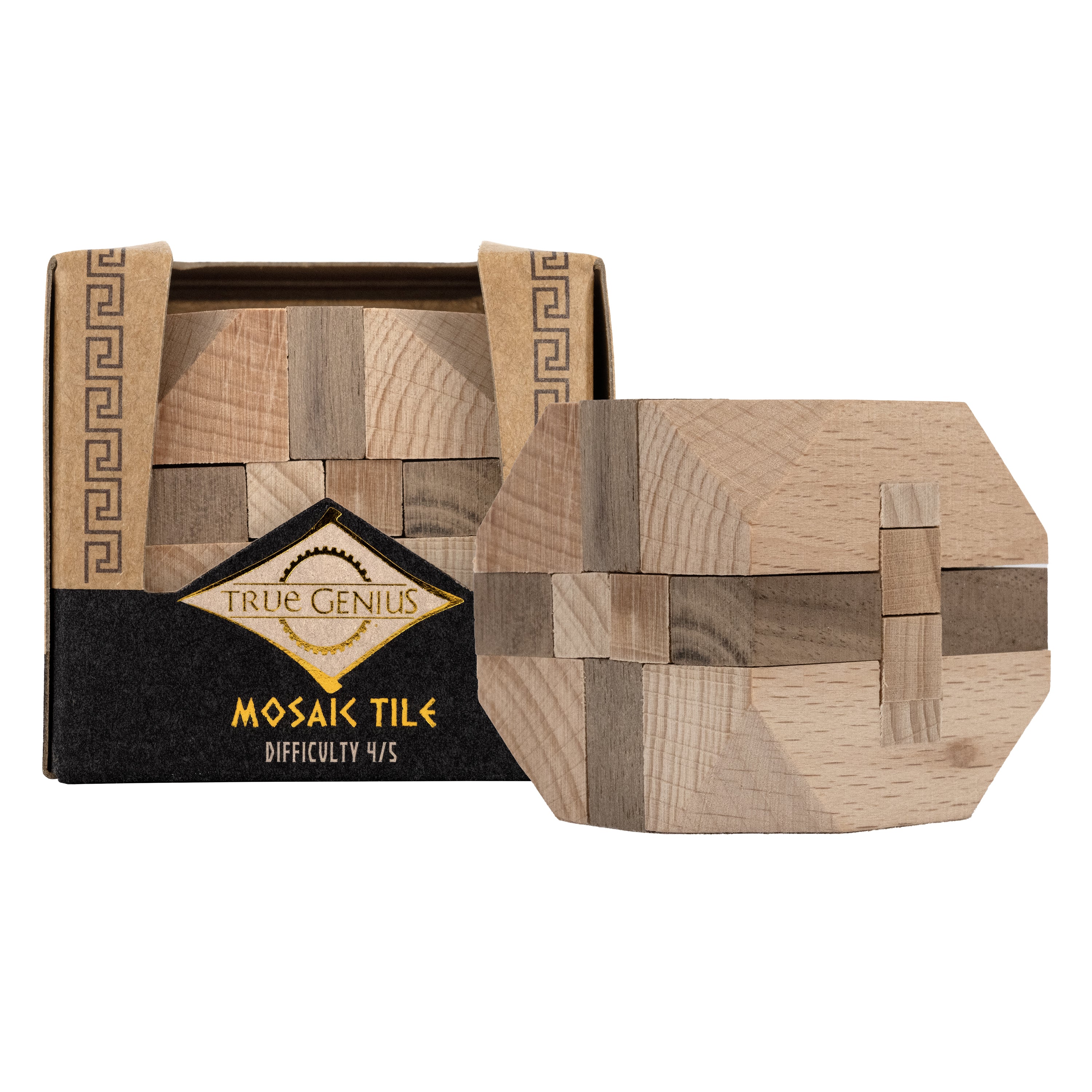 Project Genius: Mosaic Tile - Mini wooden puzzle