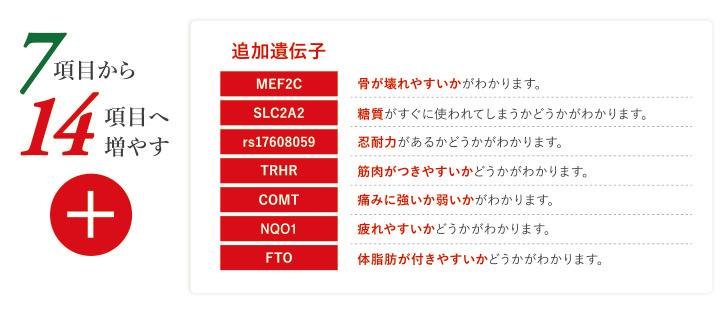 DNA PRO.EXAMINATION KIT（DNA解析キット） | Gran Medic