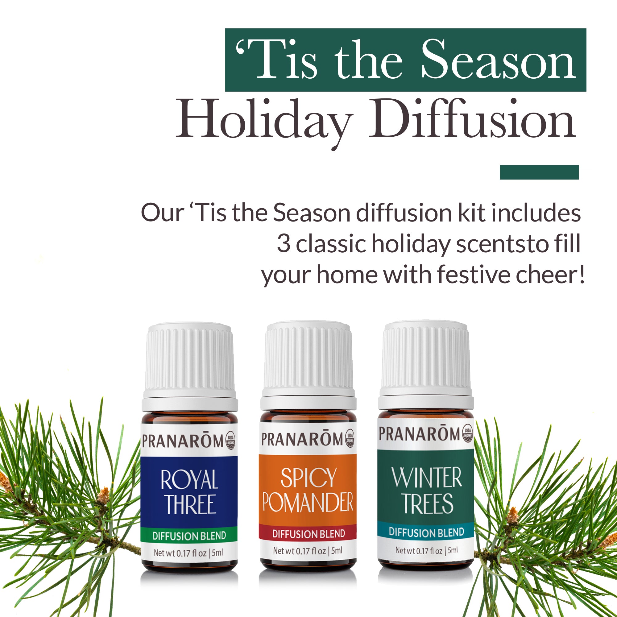 Tis the Season Diffusion Kit | Pranarôm