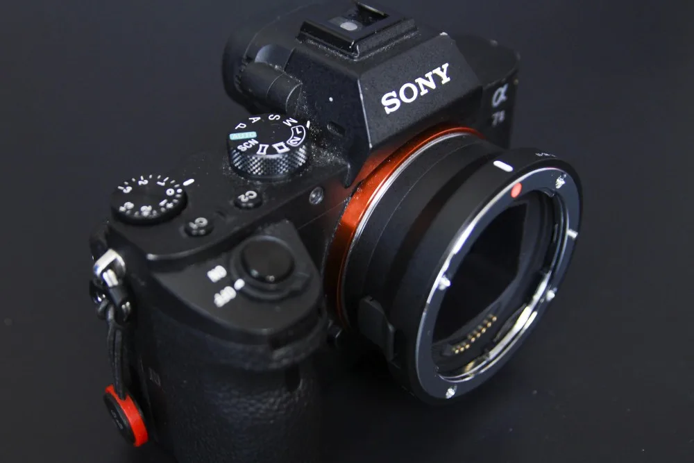 Sony α7Ⅱ にキヤノンのLレンズを付ける神々の遊び！ * prasm（プラズム）