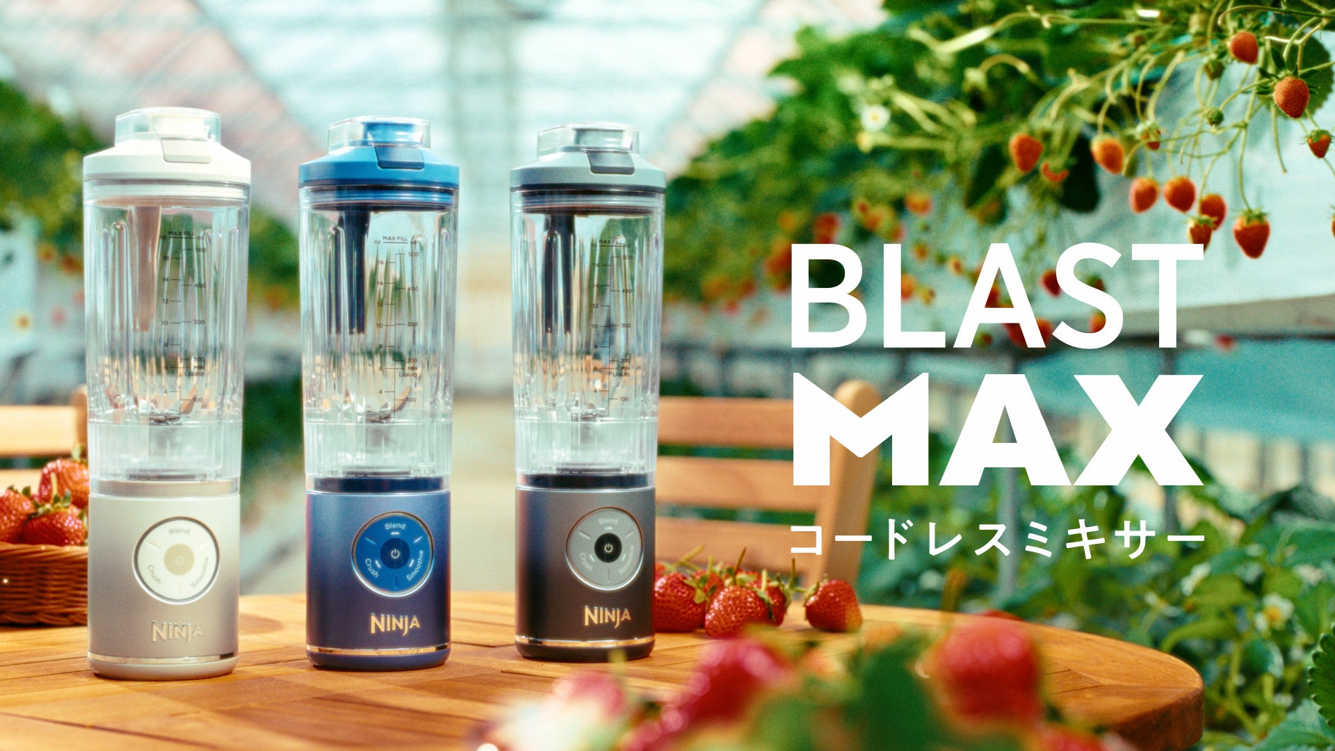 アメリカNo.1 小型キッチン家電ブランド「Ninja® 」アンバサダーに池田