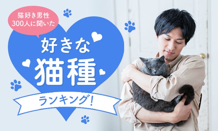 猫好き男性300人に聞いた】好きな猫種ランキング！ | 株式会社NEXERの