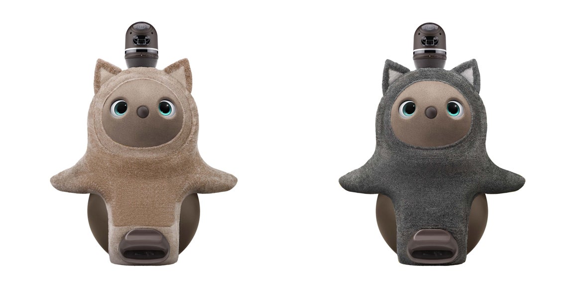 例年即日完売！アニマルラインの大人気商品「ねこみみニット」が今年も