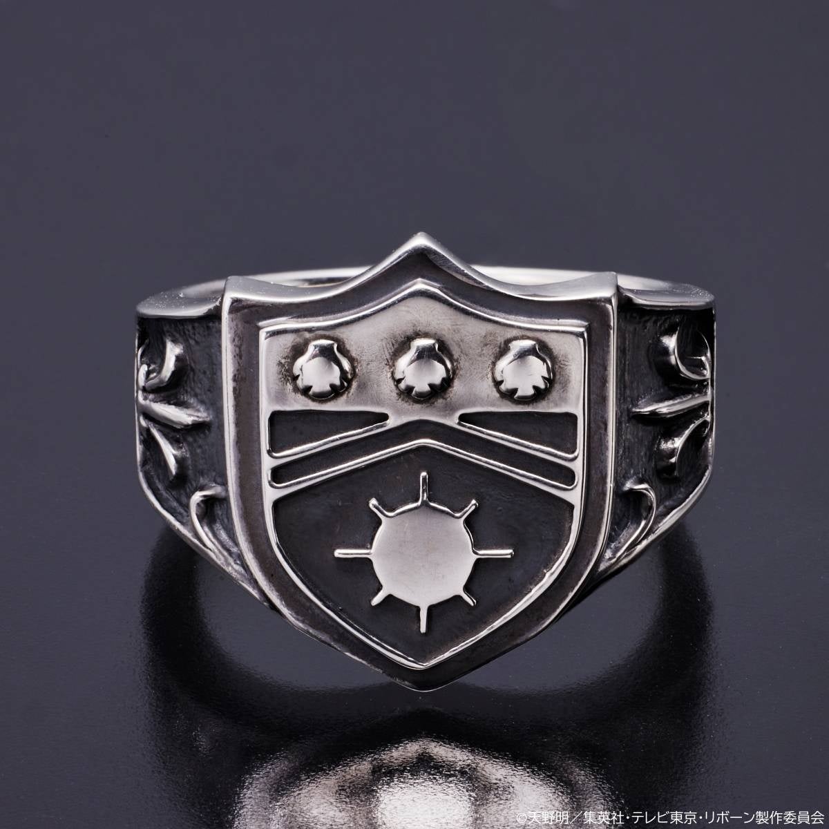 TVアニメ『家庭教師ヒットマンREBORN!』より、ボンゴレリングが本格