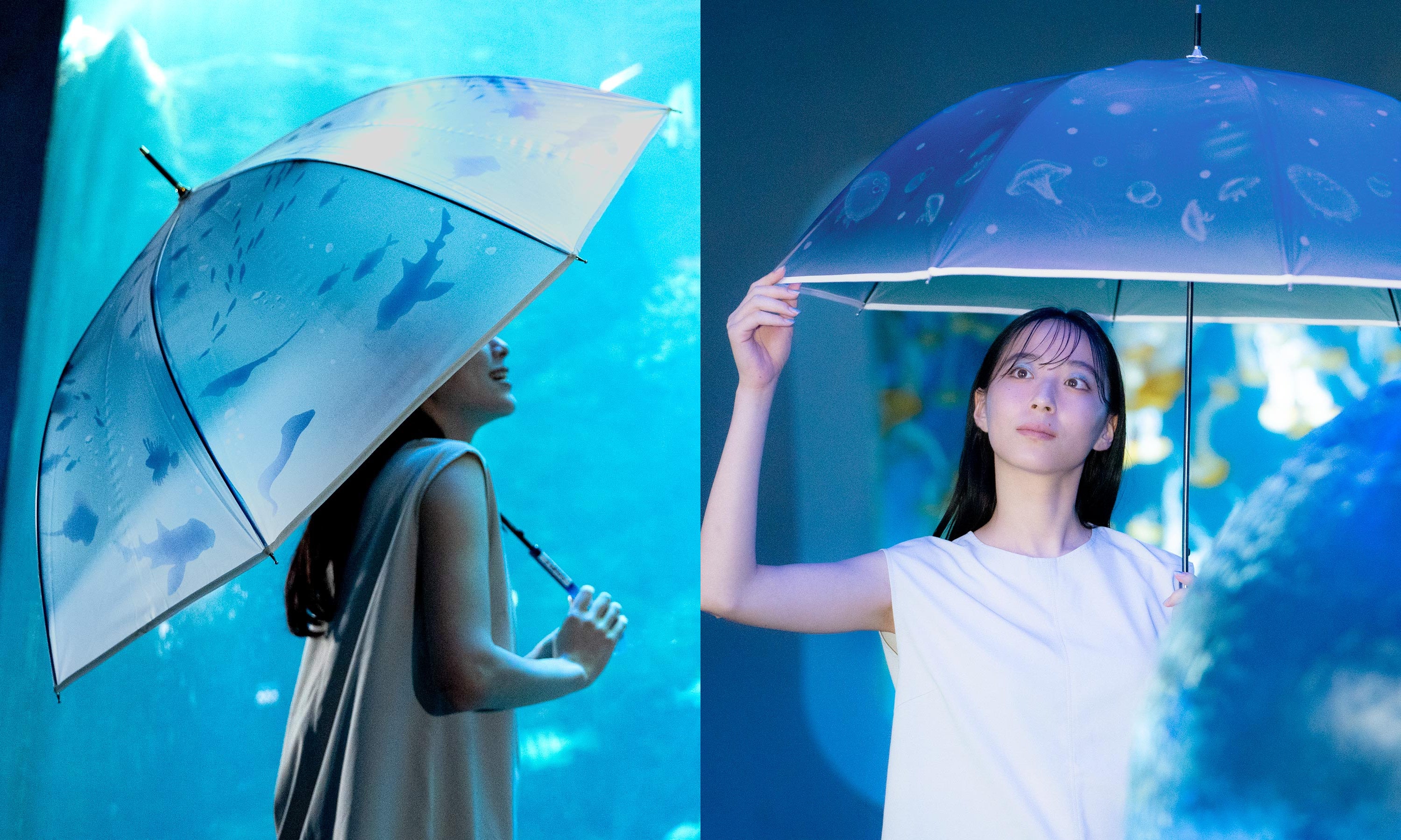 新江ノ島水族館の癒やしの空間が傘いっぱいに広がる Wpc.ブランド創立