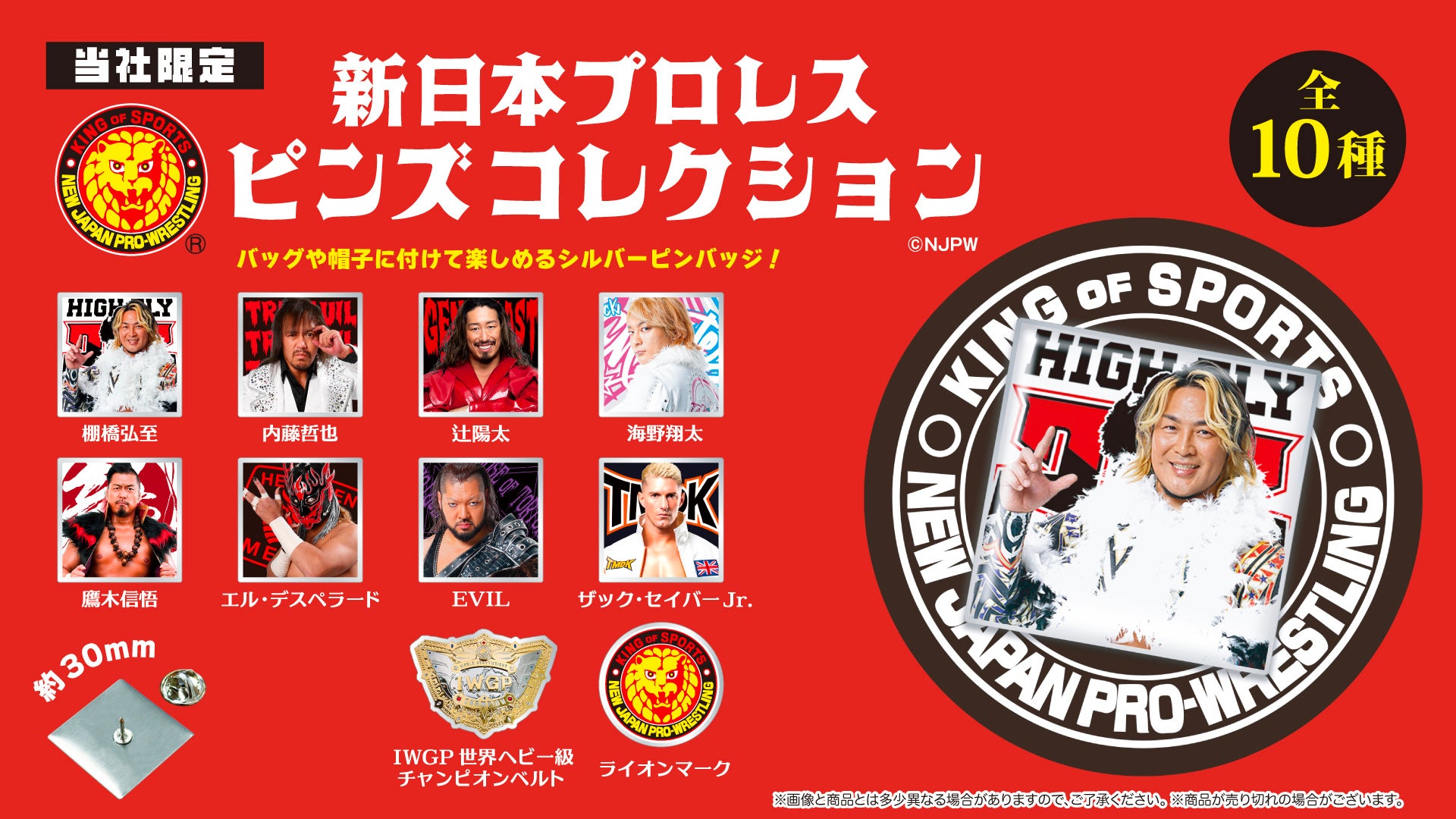 新日本プロレス』の棚橋弘至、内藤哲也など人気選手がシルバー