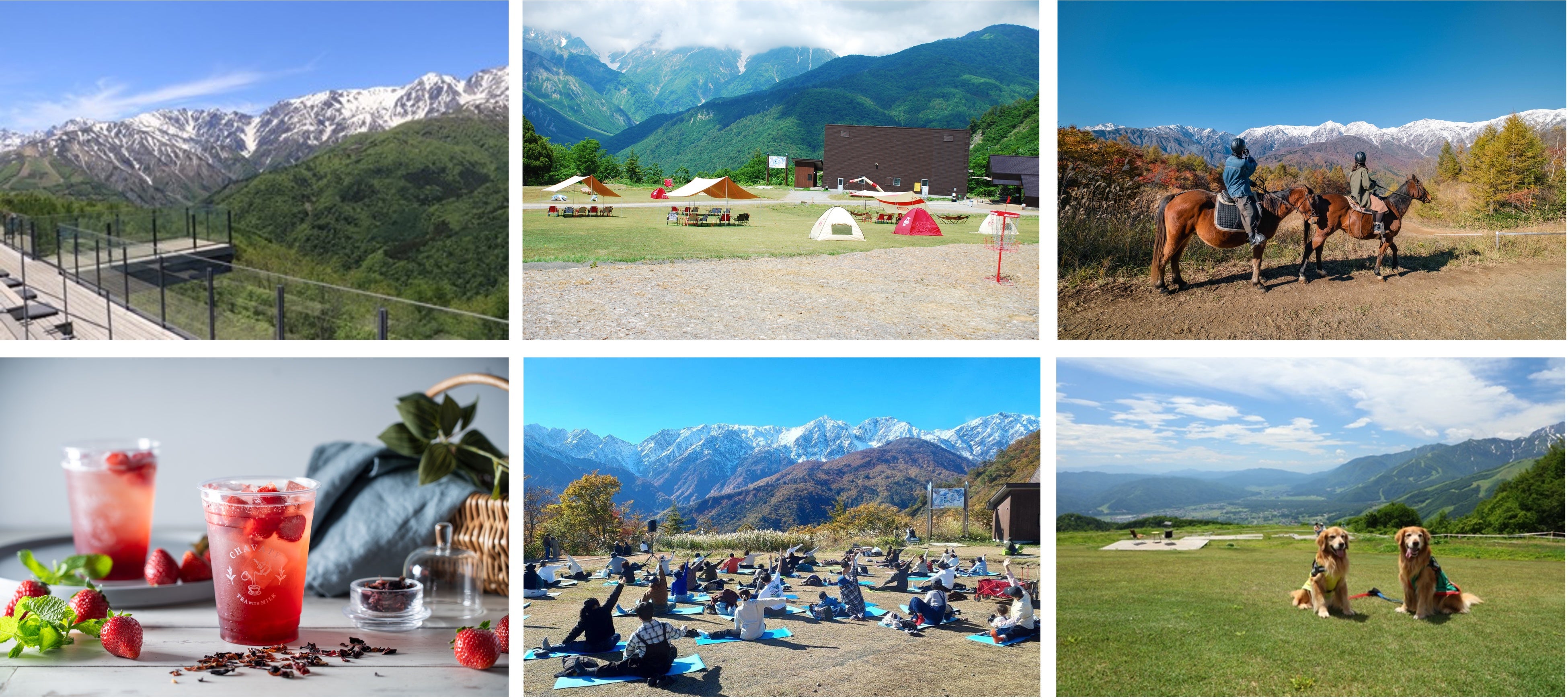 白馬岩岳マウンテンリゾート、3期連続でグリーンシーズンの来場者数が