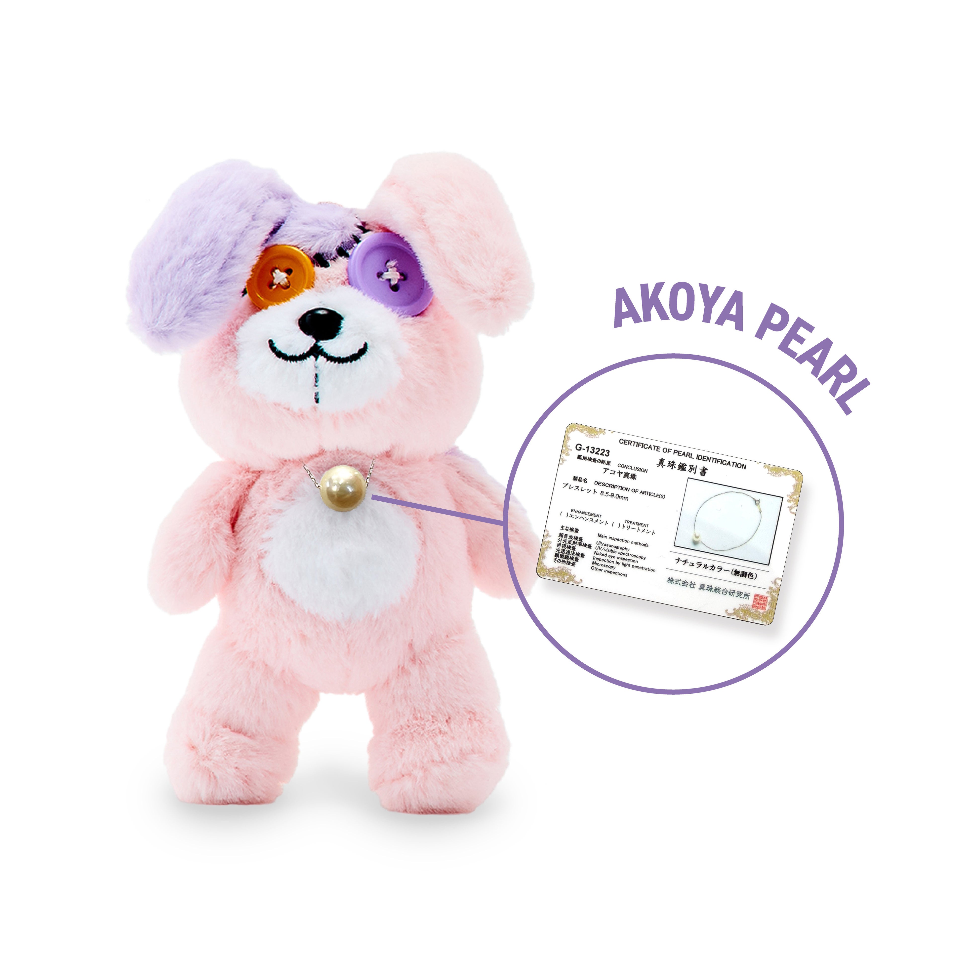 nana-nana × tuki.】いよいよ明日、武道館にて解禁！アーティスト本人