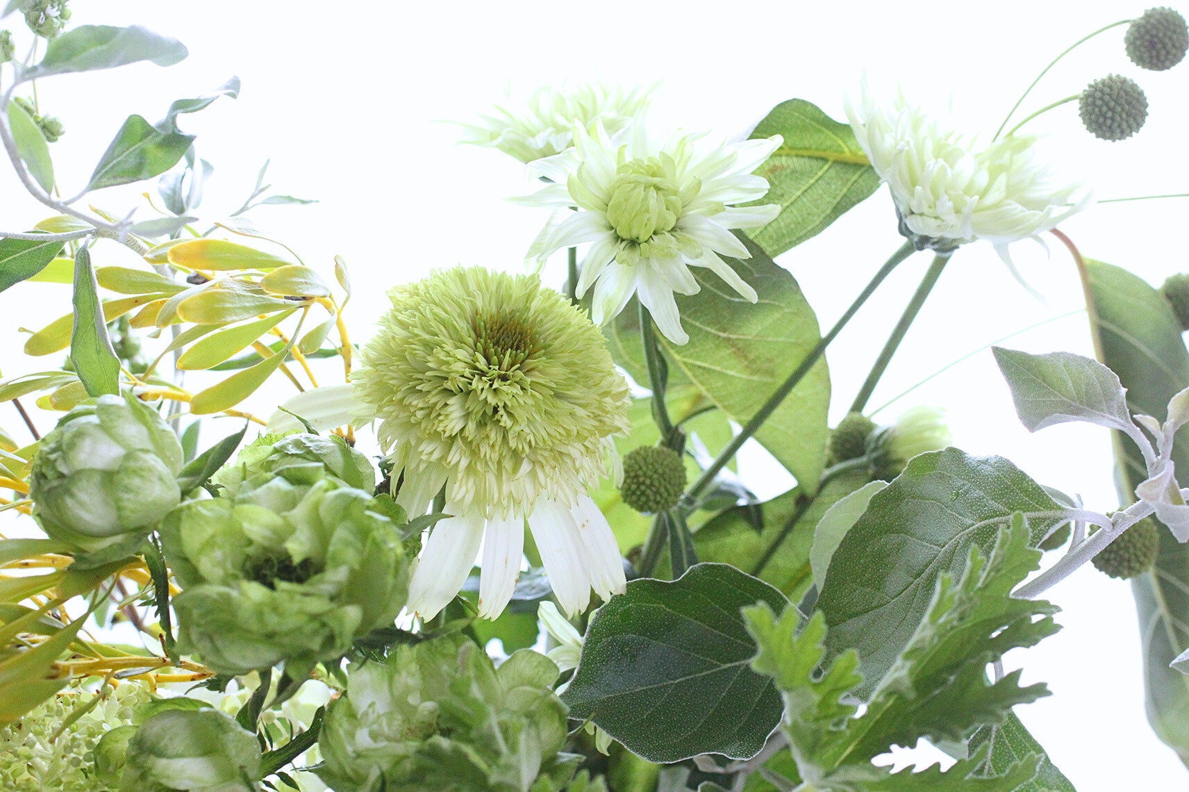 緑のチカラで、夏の心身を整えよう！ 花の老舗メディア『花時間』が