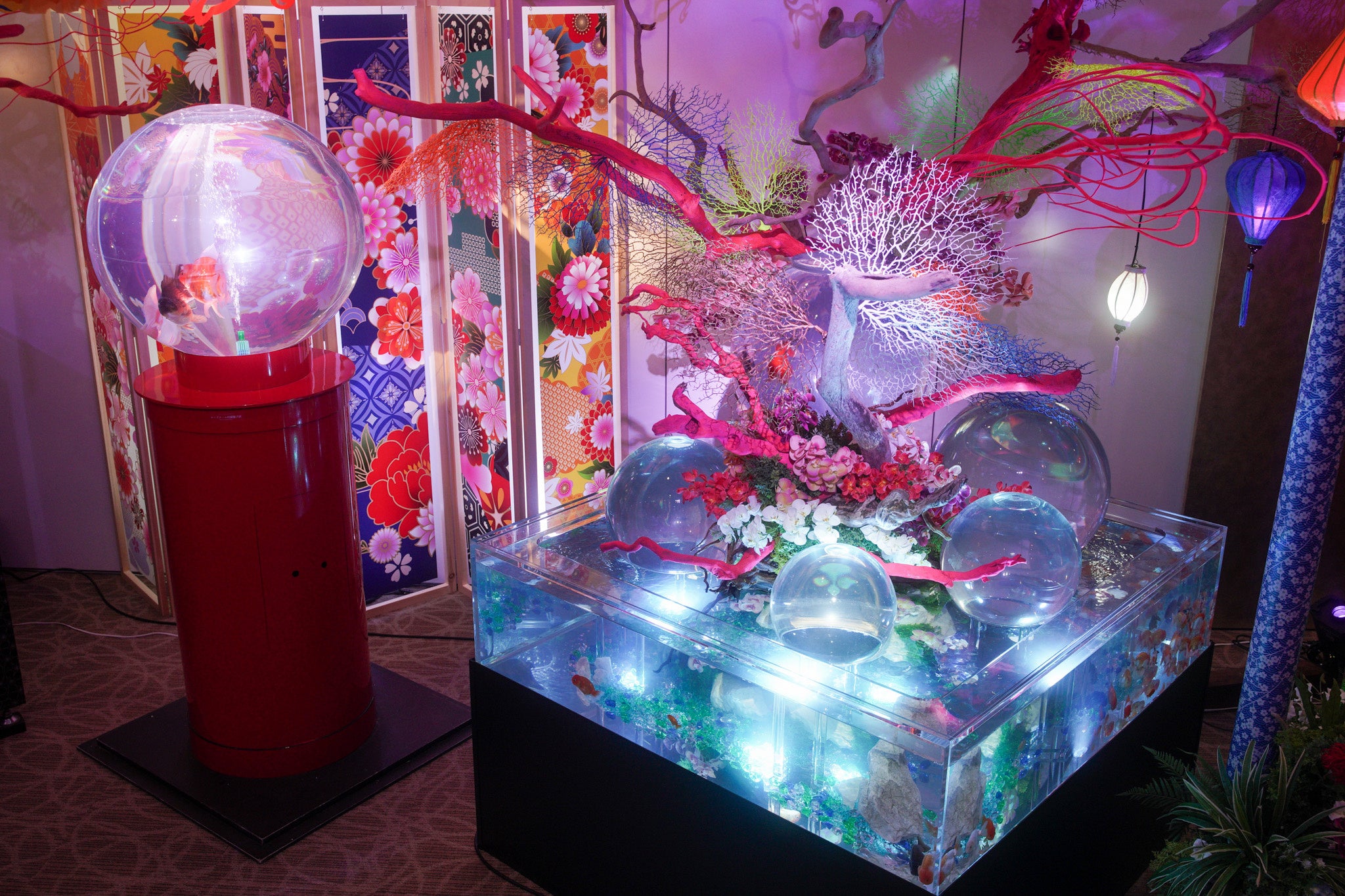 4/25 OPEN】金魚がたどり着いた楽園「沖縄金魚ミュージアム