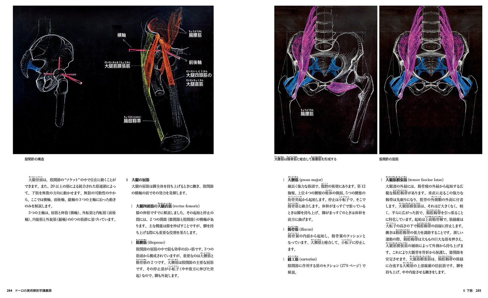 人間の動きと表現を立体的に解説。標本や板書を駆使した世界最高水準の