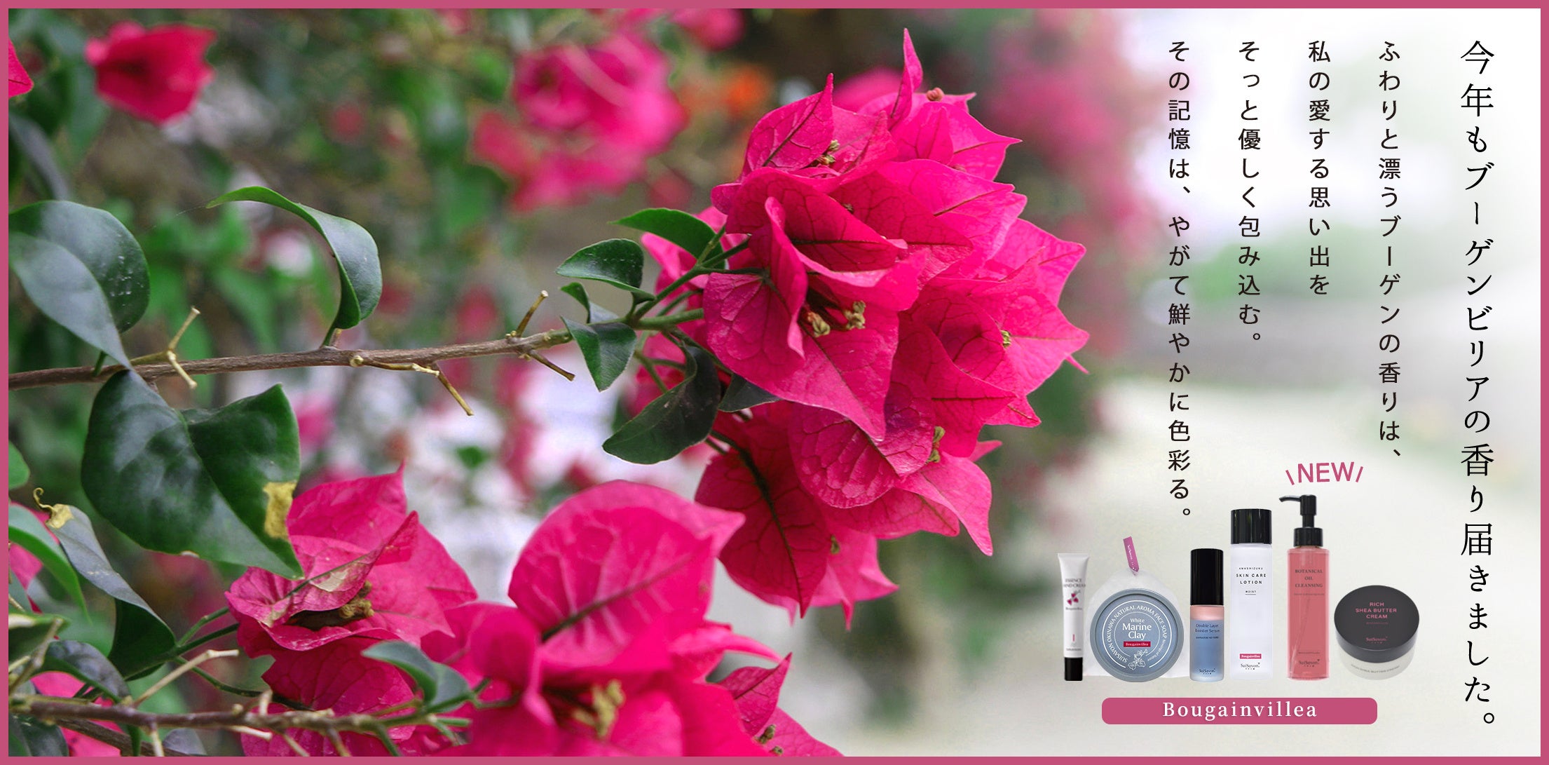 沖縄発スキンケアブランド 