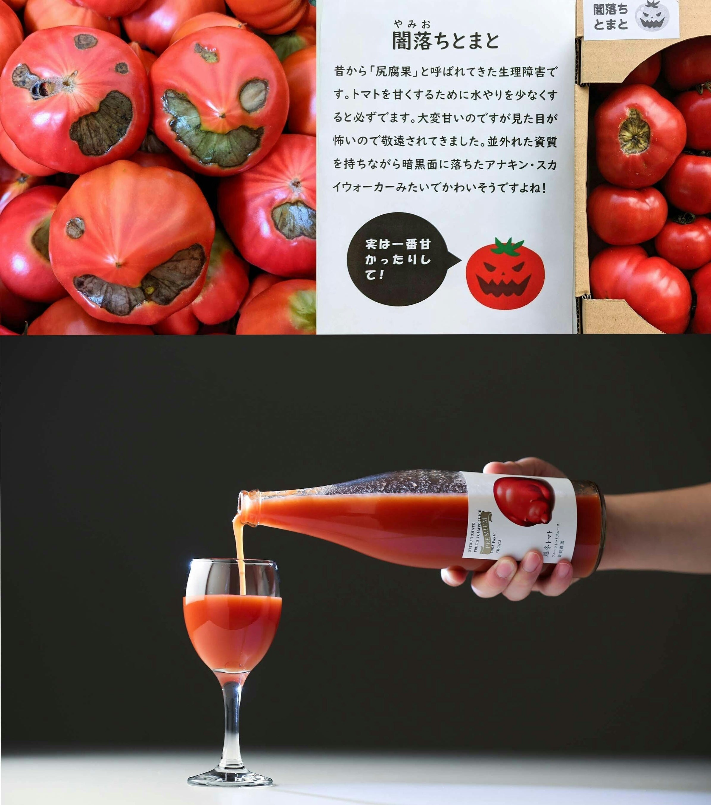 日本初の複合現実（MR）とまと投げで「にいがたとまと」 の魅力を