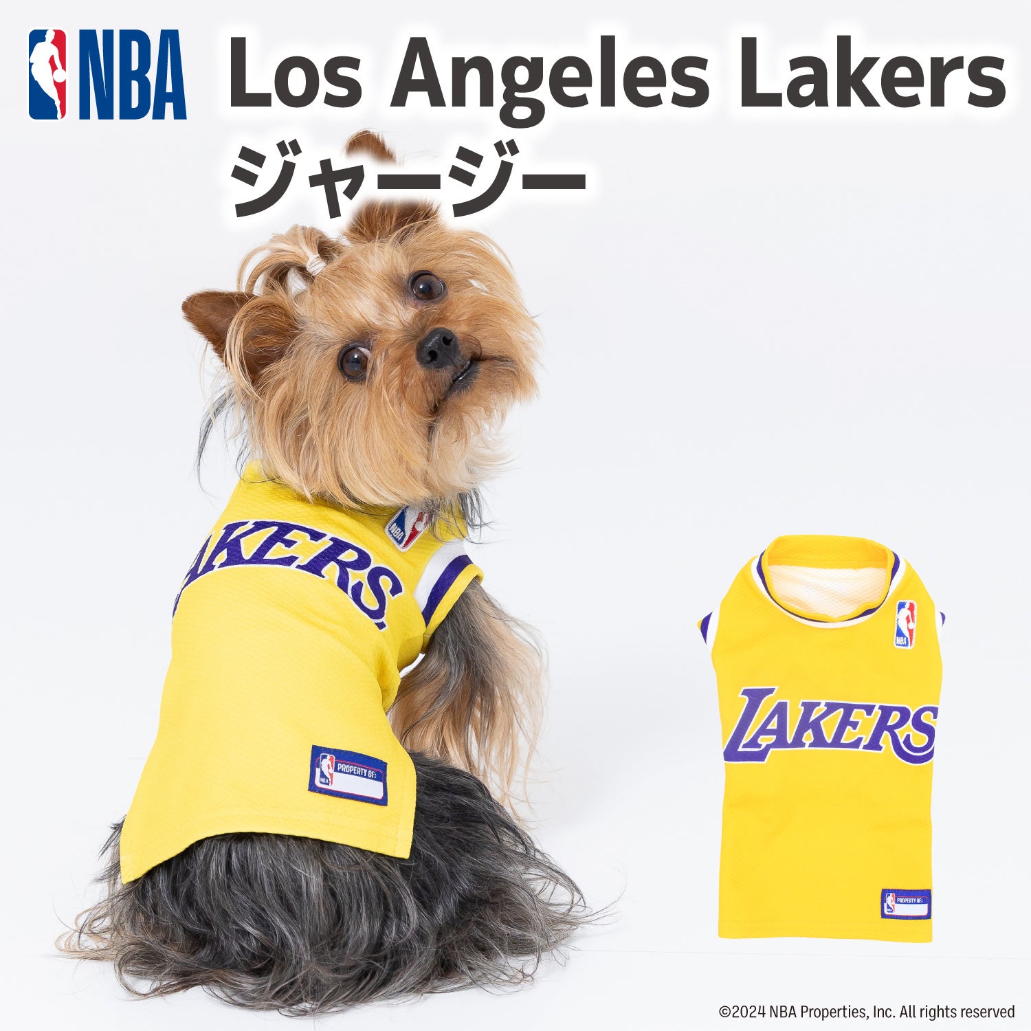 NBA】NBA公式ライセンス ペットアイテムが遂に日本に登場!! | 犬・猫