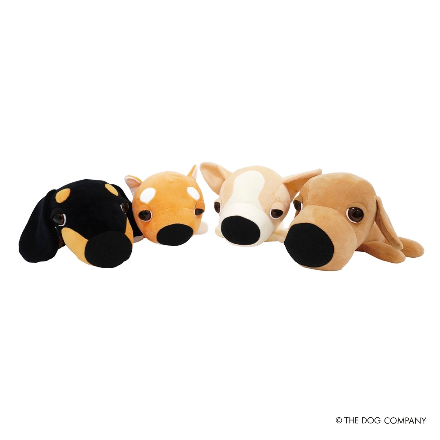 THE DOG】のぬいぐるみやペットグッズが「キャンドゥ」で2024年8月