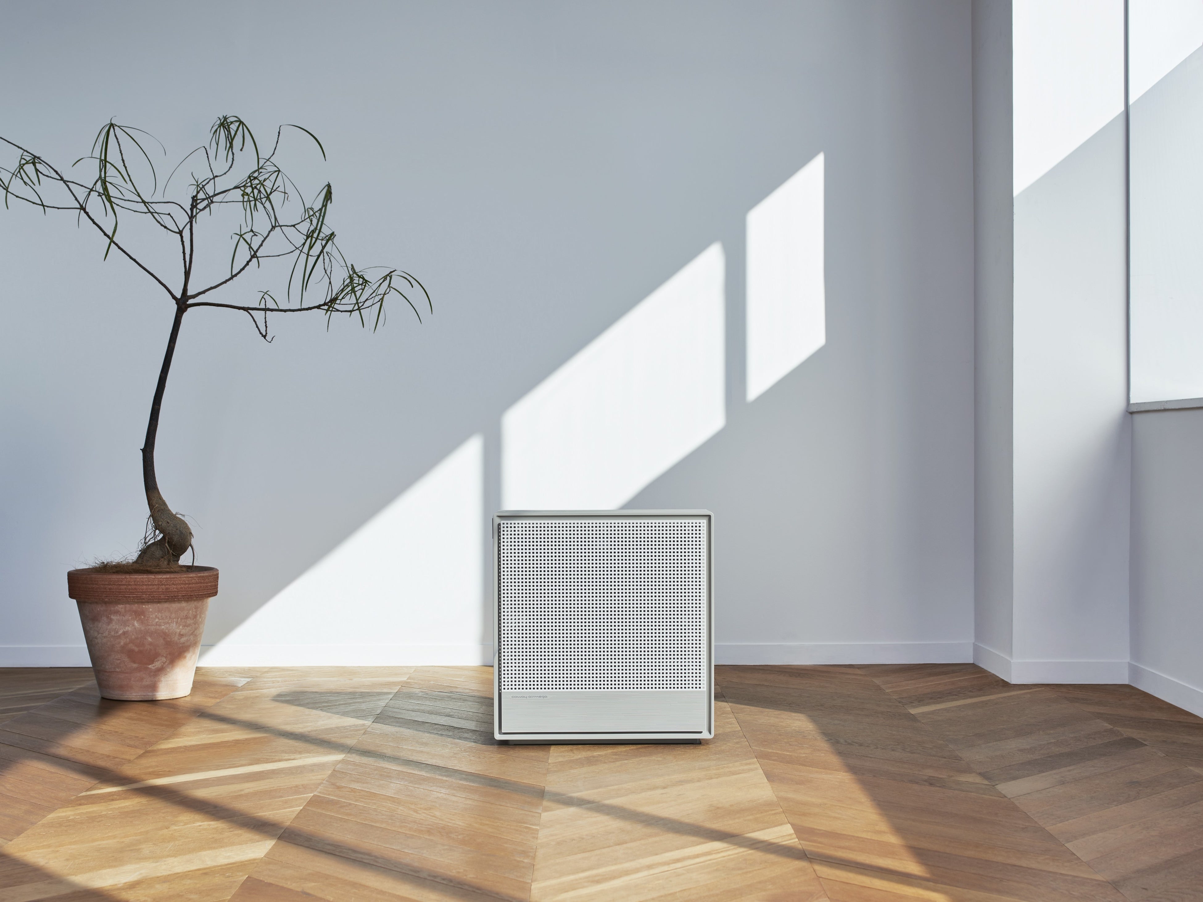 毎年120万台以上販売(※1)する空気清浄機メーカー「コーウェイ」 暮らし