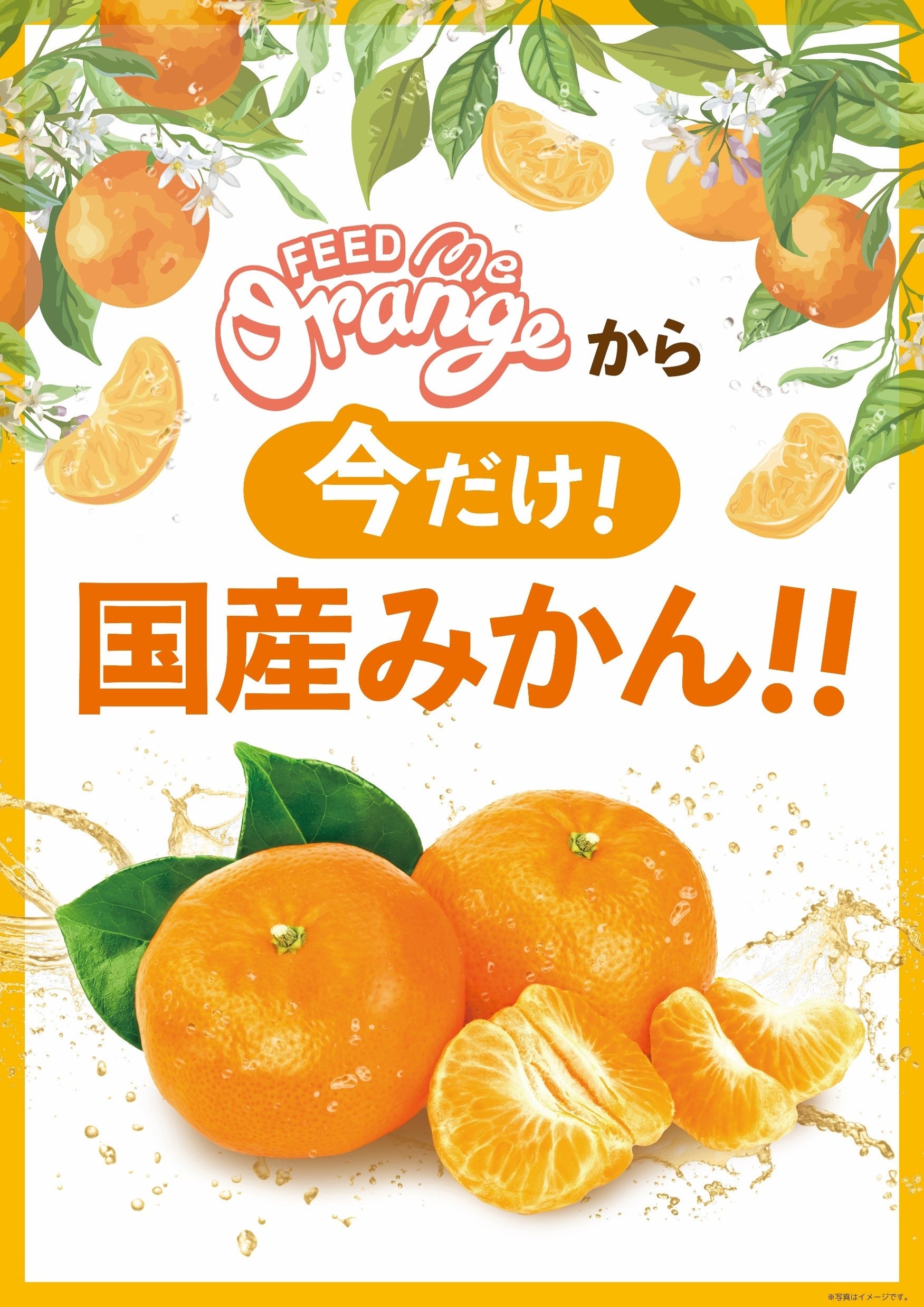 季節限定！フレッシュな搾りたて100%のみかん果汁がたのしめる自動販売