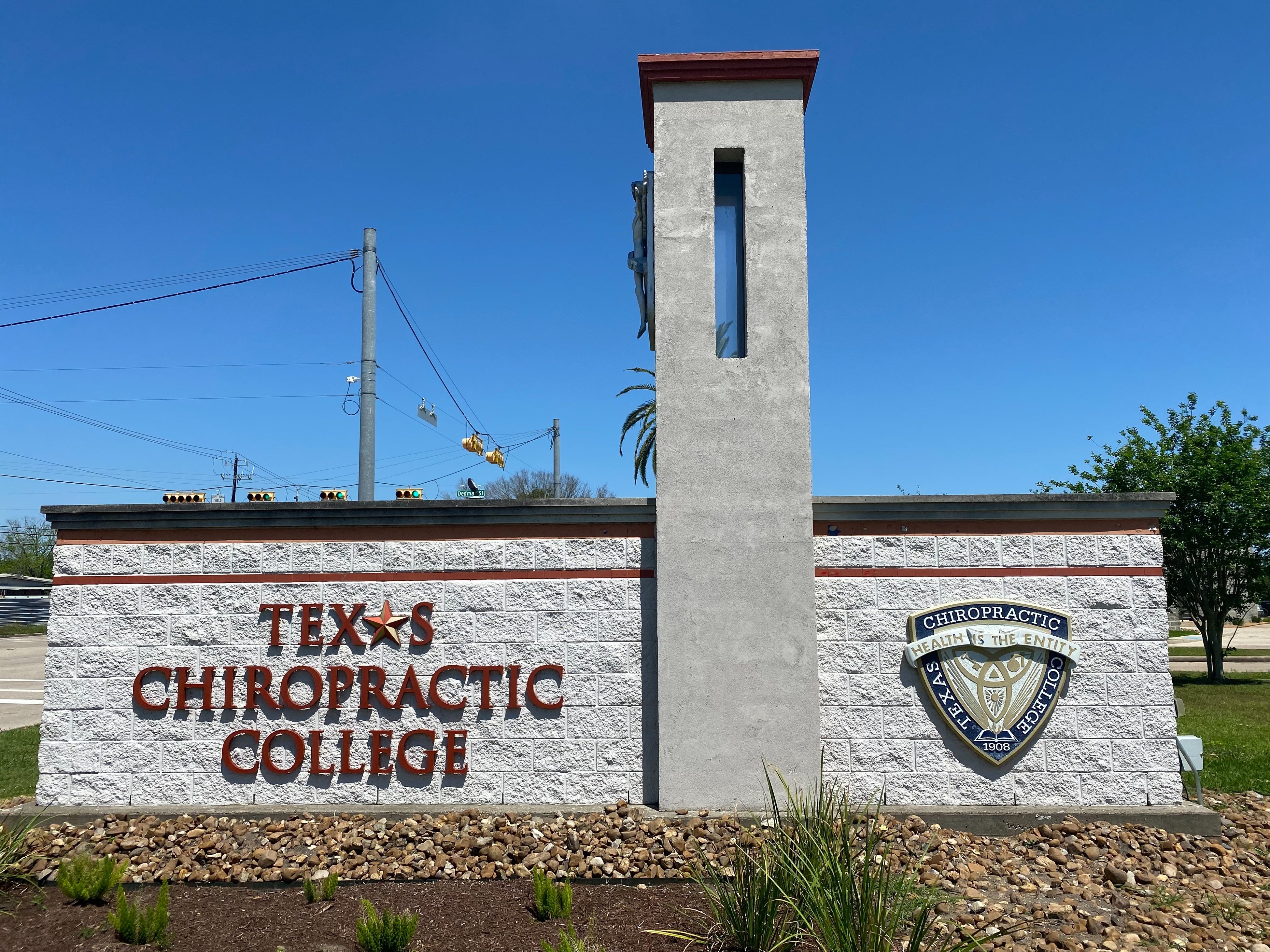 日本で会員数12000名規模のカイロプラクティック団体Zenkenkaiが今年も