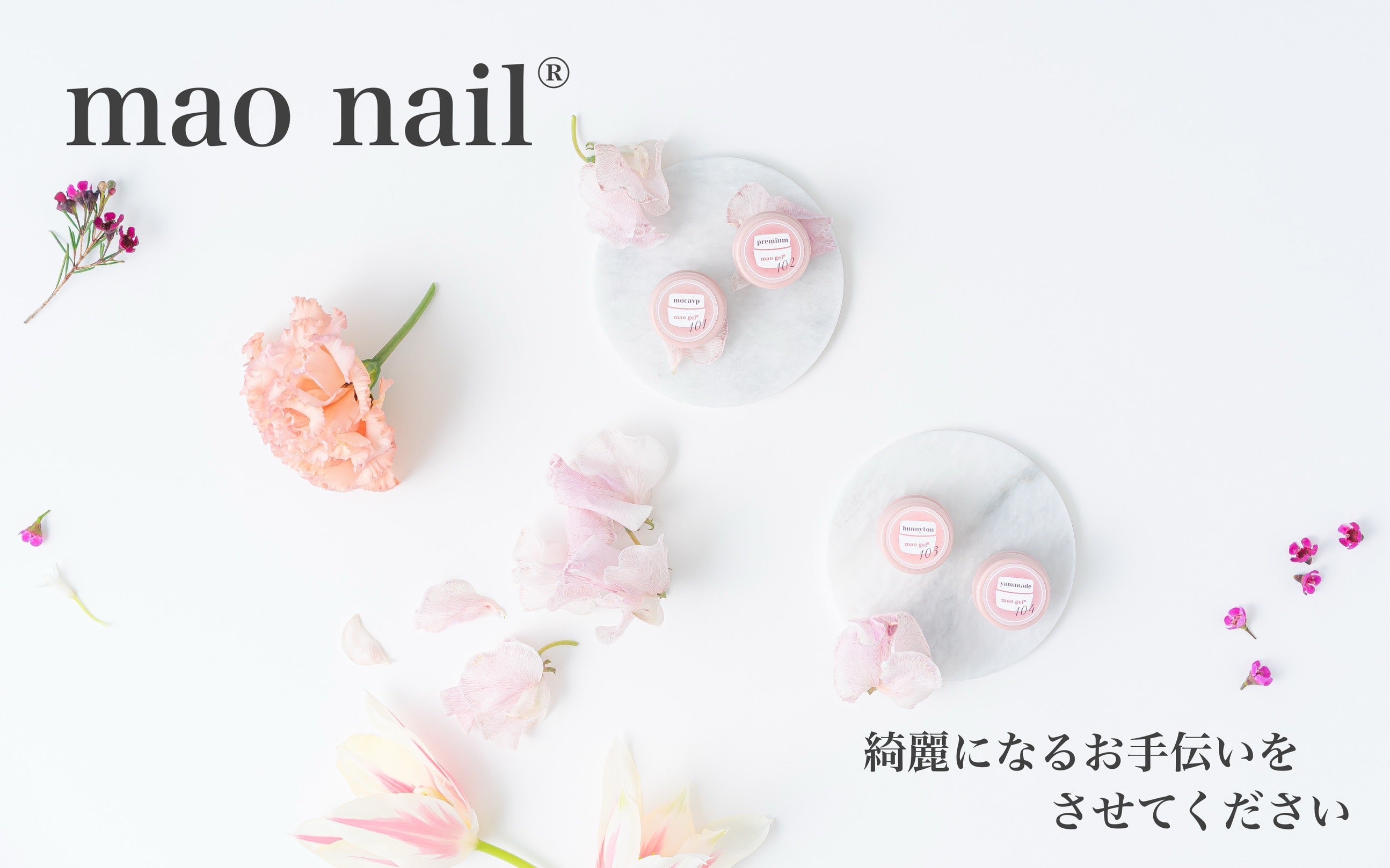 maogel マオジェル 誕生日コンプリートセット maogel マオジェル 誕生