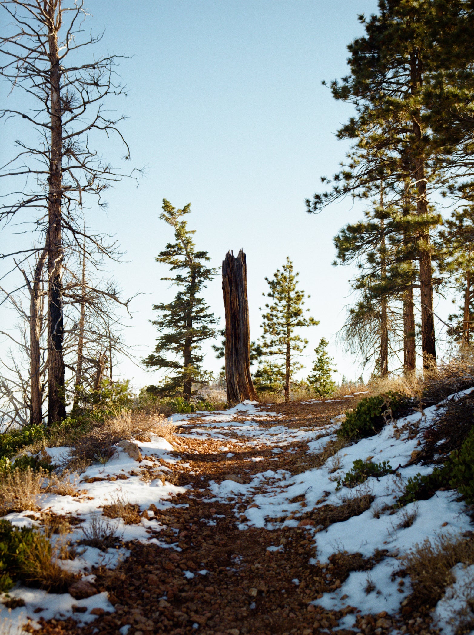 京都岡崎 蔦屋書店】写真家 石橋純による関西初の個展「41247」を4/19