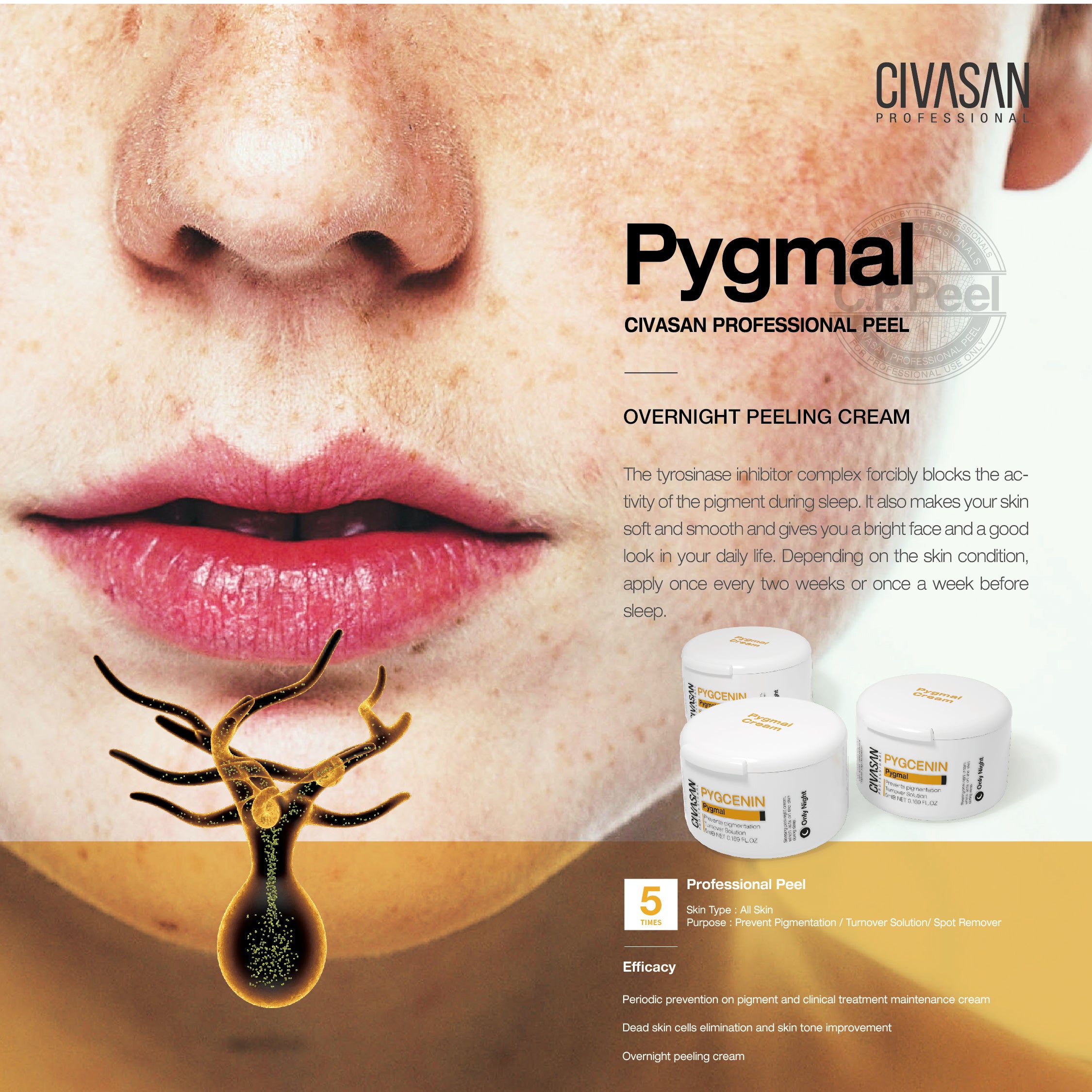 韓国で人気絶頂のエステ専売化粧品「CIVASAN（シバサン）」を12月19日