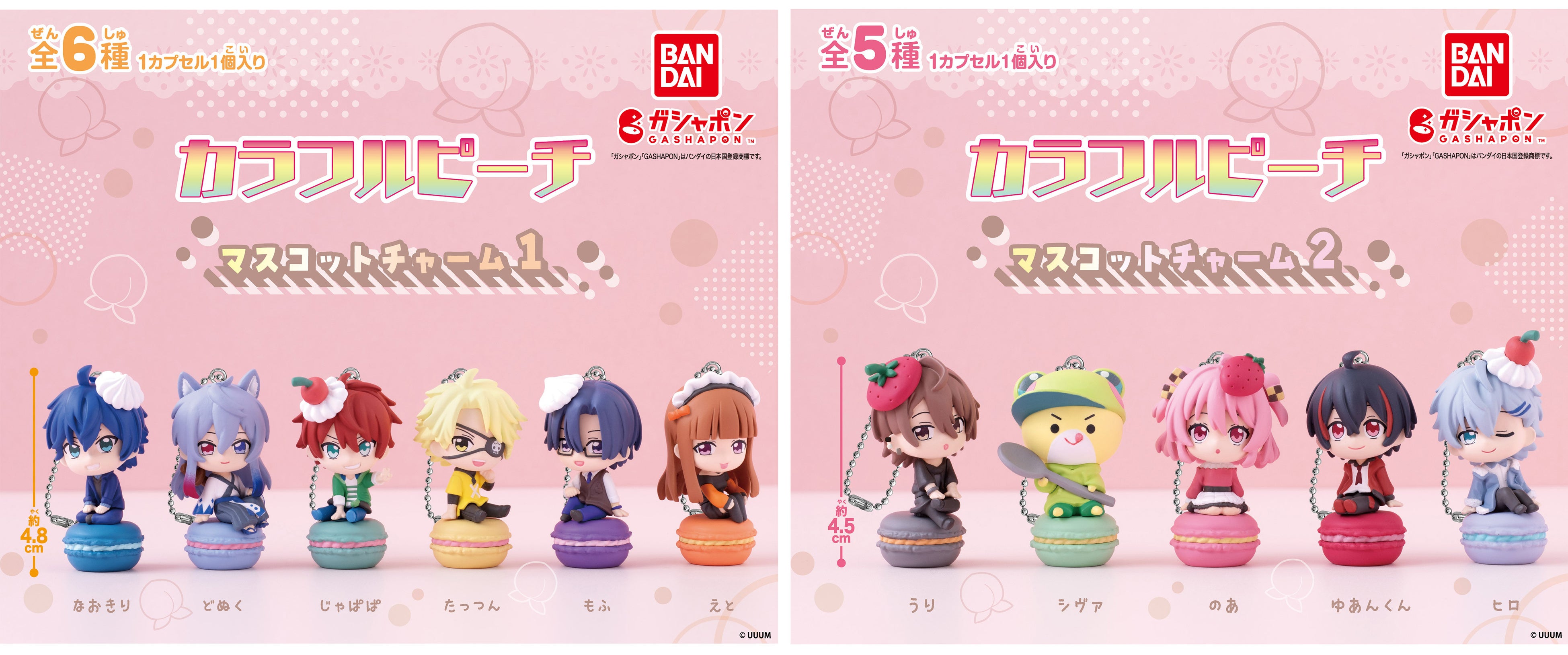 ⼤⼈気ゲーム実況グループ「カラフルピーチ」が、マカロンにお座りした