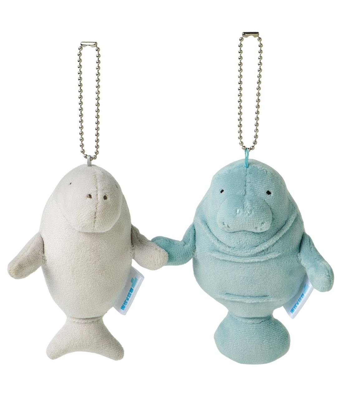 世界唯一の奇跡の共演！ 鳥羽水族館でしか会えない“ジュゴン