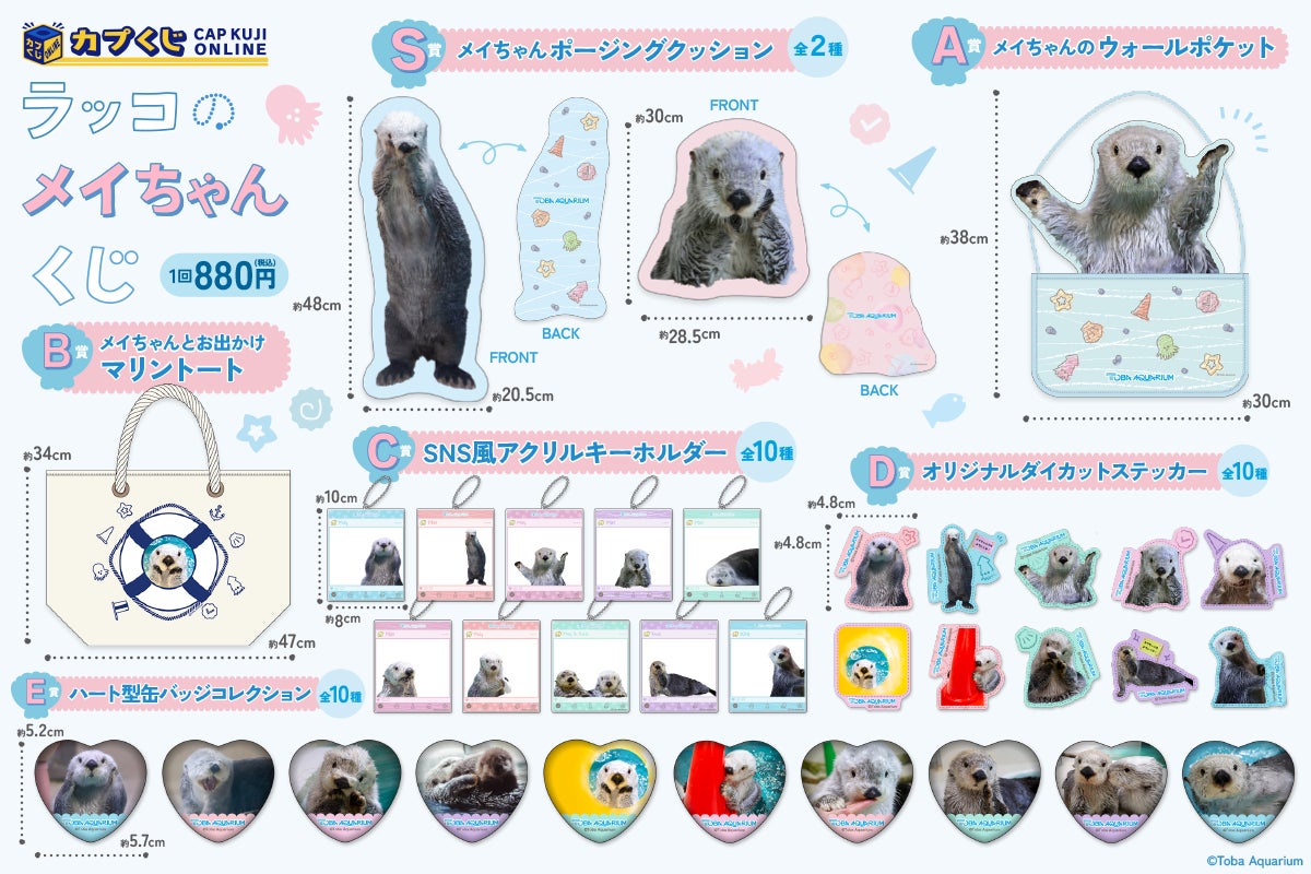鳥羽水族館』のアイドル！ 「ラッコのメイちゃん」のお誕生日を記念