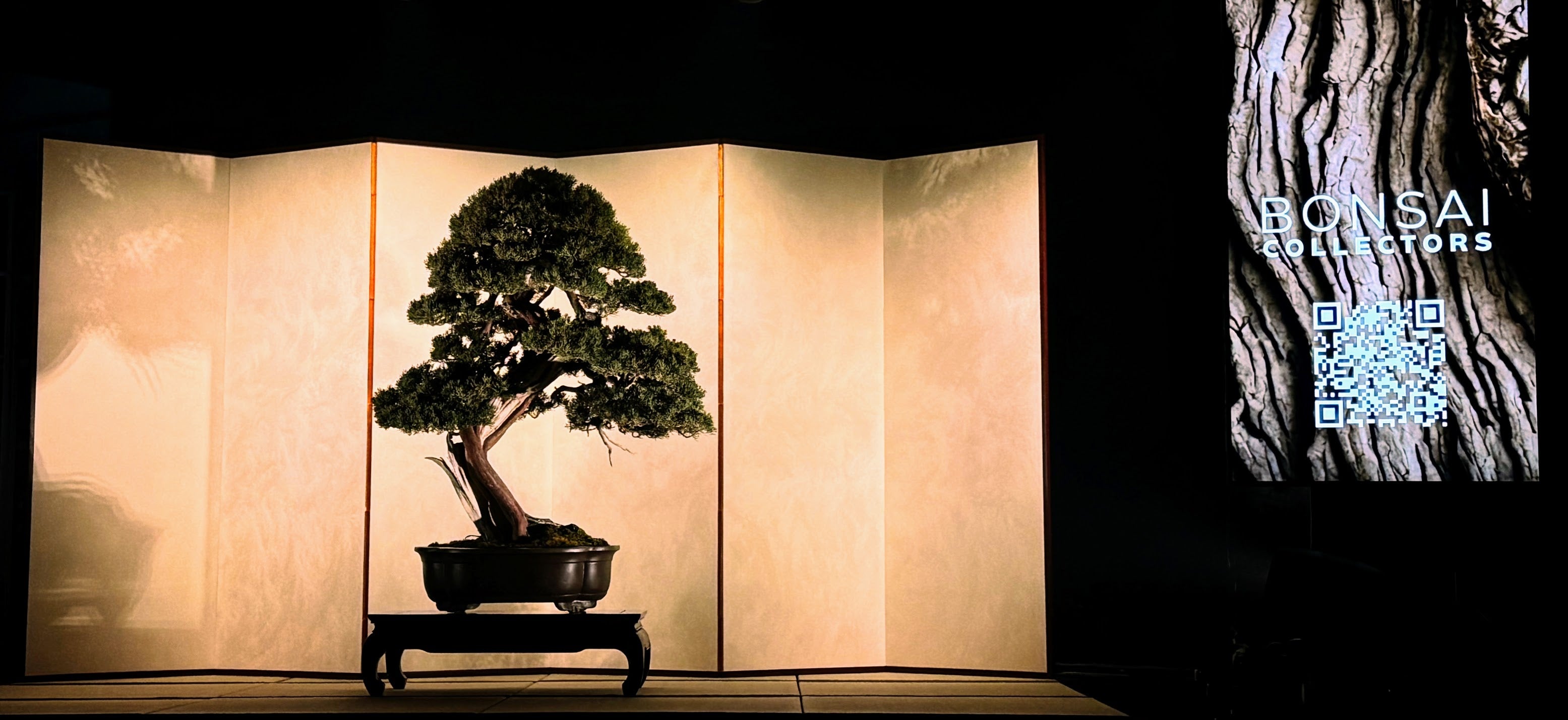 Bonsai Collectors、「国風盆栽展」で伝統と技術の融合を祝う | BONSAI