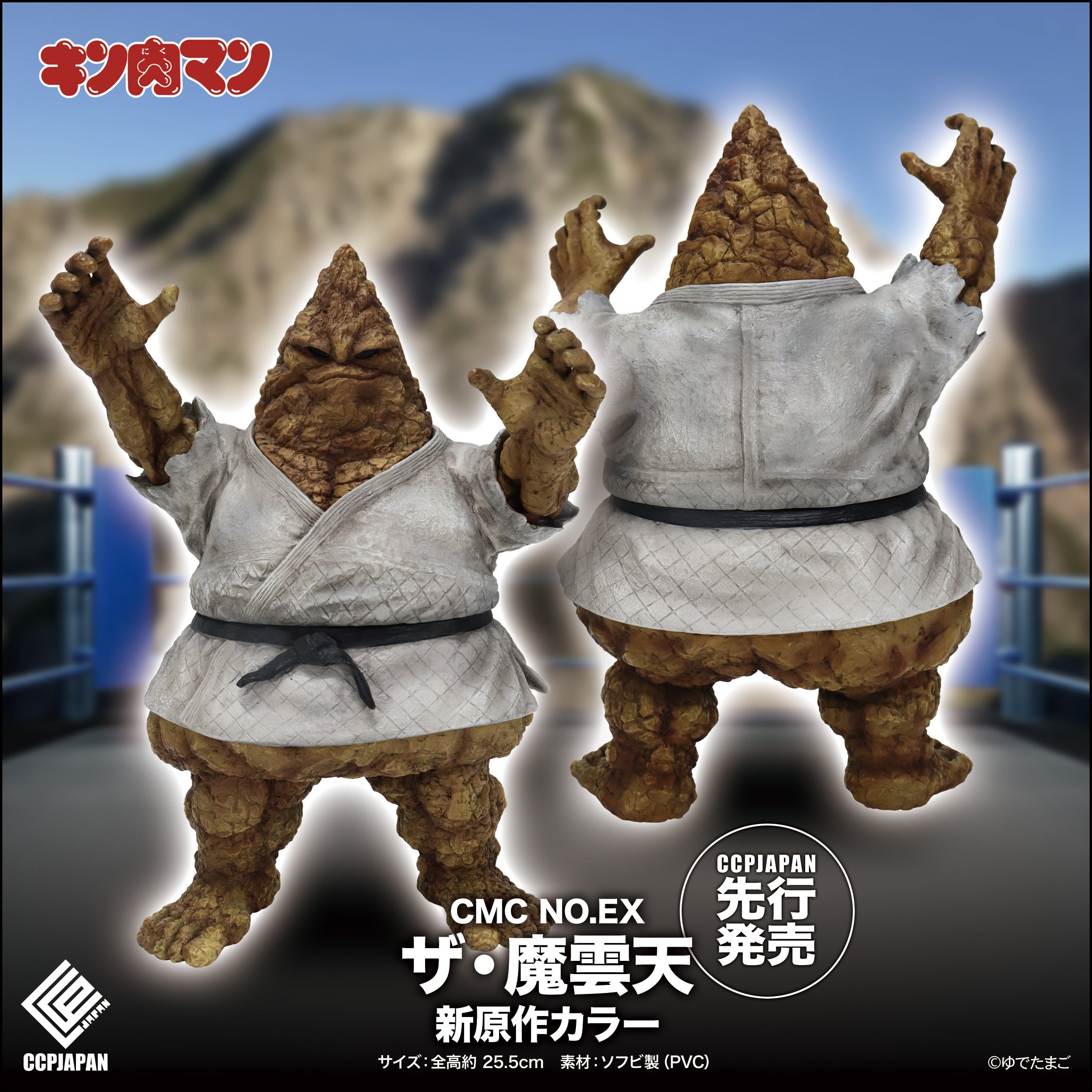 キン肉マン』に登場する七人の悪魔超人の一角、『ザ・魔雲天』のハイ