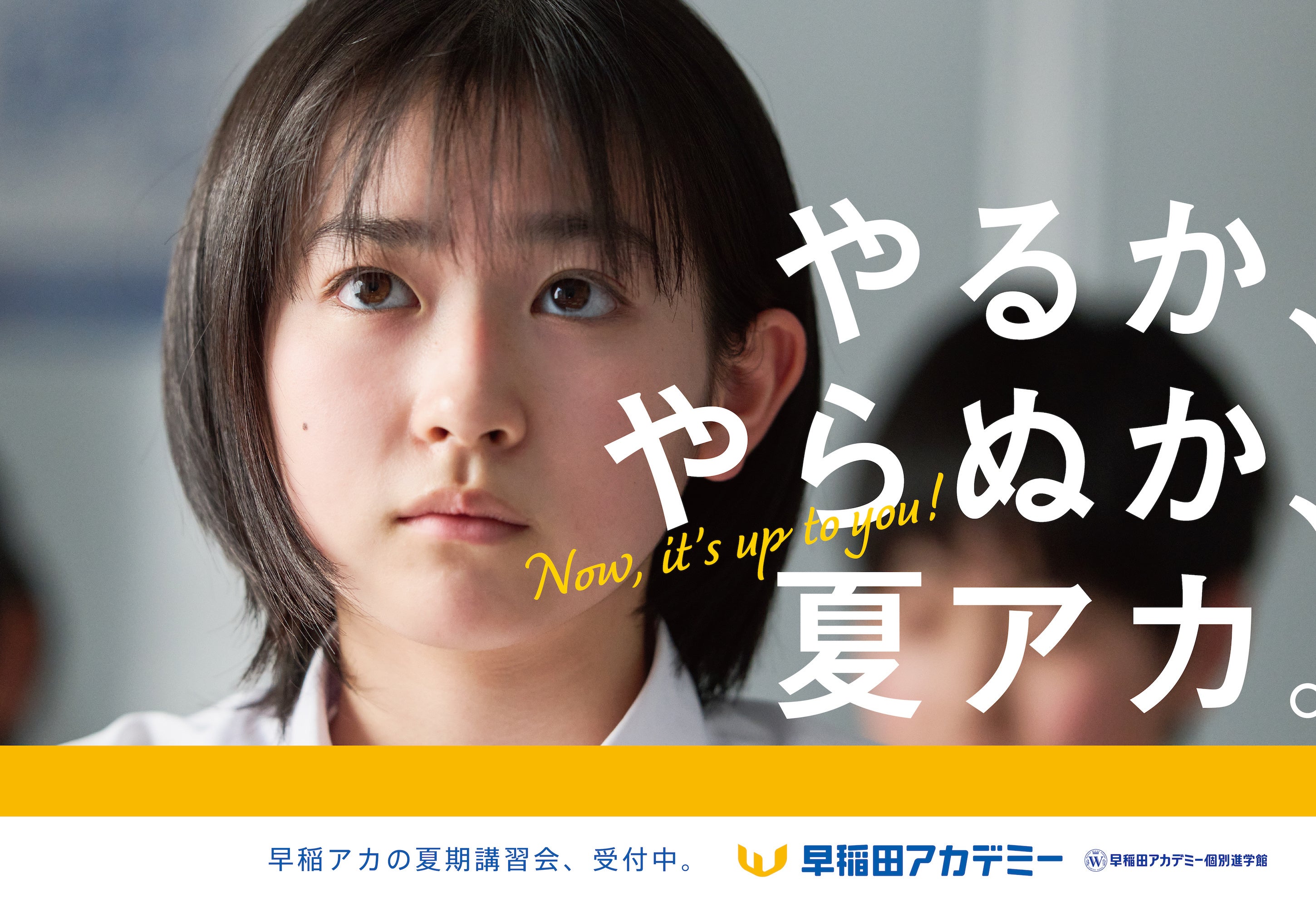 小5 早稲田アカデミー 2024年度 夏期講習会 上位校 バックアップ