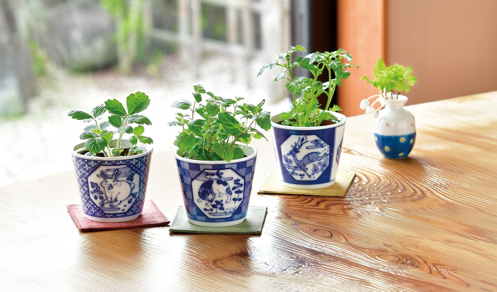 伝統工芸「美濃焼」の器で植物を育てる栽培キット「染付小紋 草花