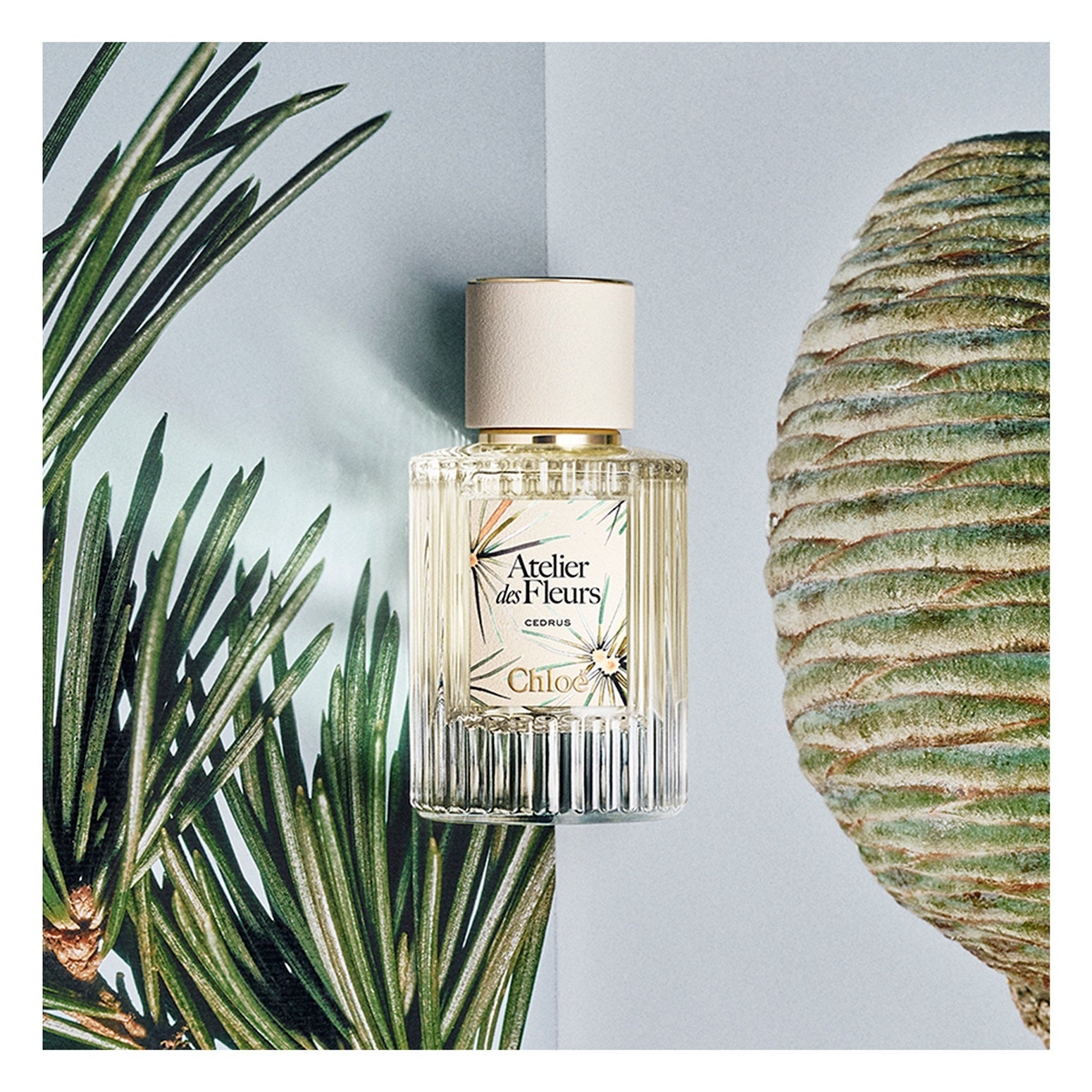 唯一無二のウッディフレグランス「クロエ アトリエ デ フルール シダー