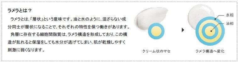 ロングセラーの高機能クレンジングクリーム“マセ”をはじめとした