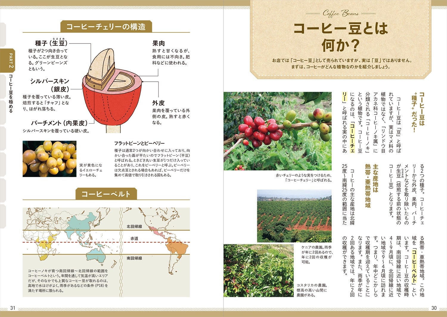 これ一冊で珈琲通になれる！基礎知識から自分好みのアレンジまで『決定