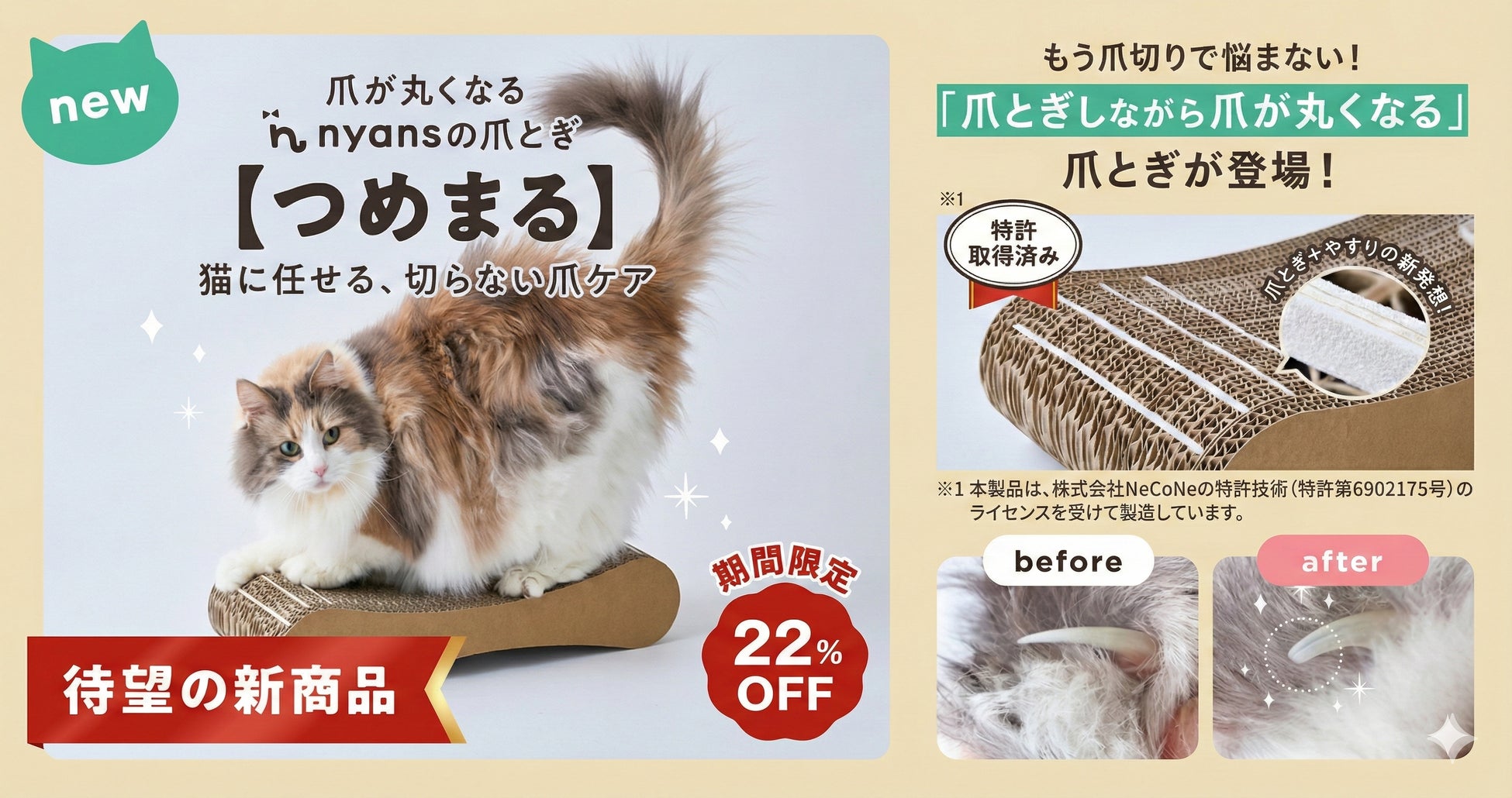 創業10年目の猫の日に、「猫を中心に考える」を形にした3つの