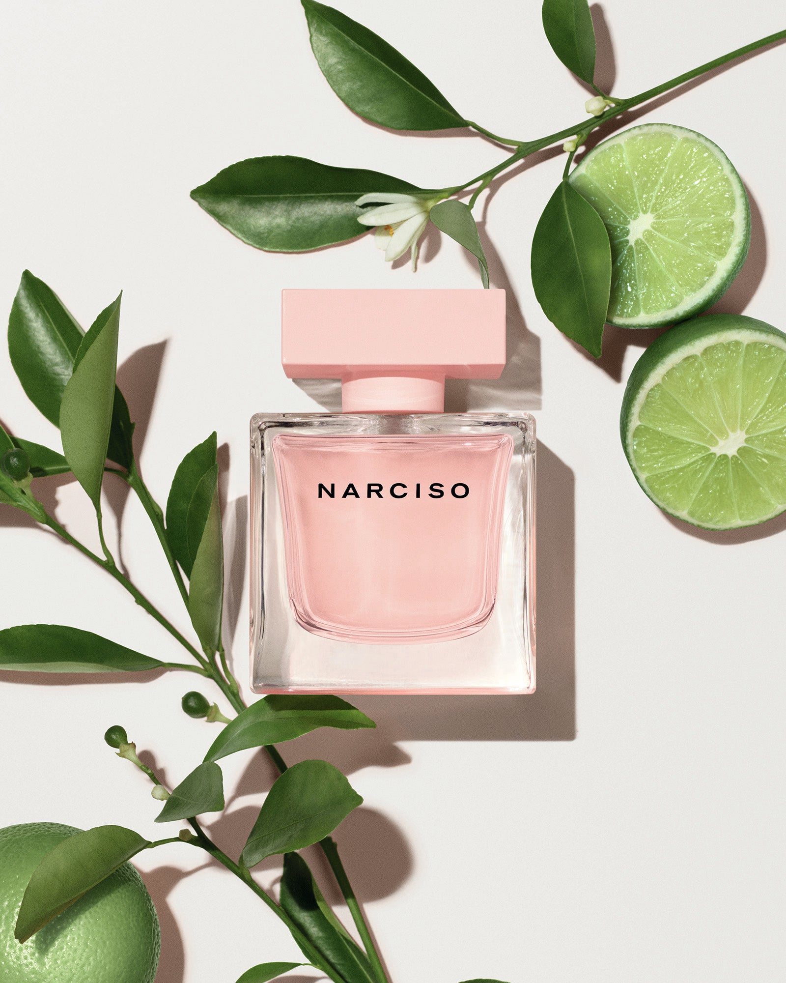 ナルシソ ロドリゲス パルファムより、女性の内なる光を反映し輝く、新