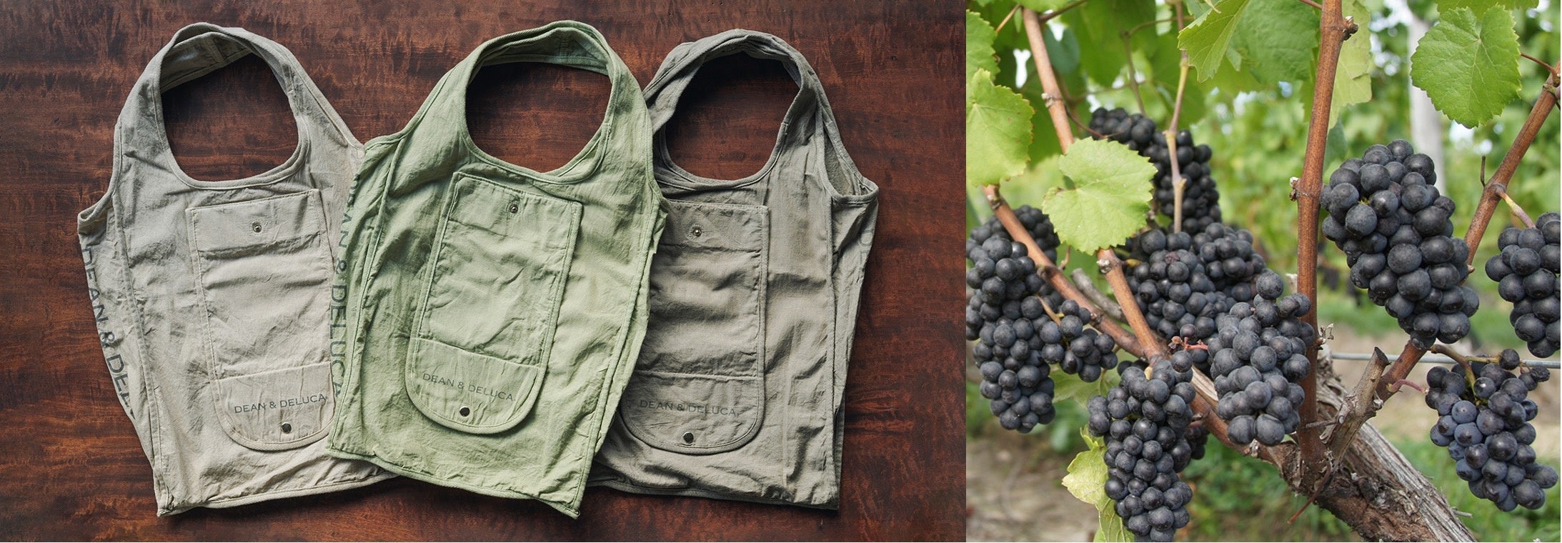 DEAN & DELUCAがBetulaN（ベチュラン）とつくる 葡萄の果皮から生まれ