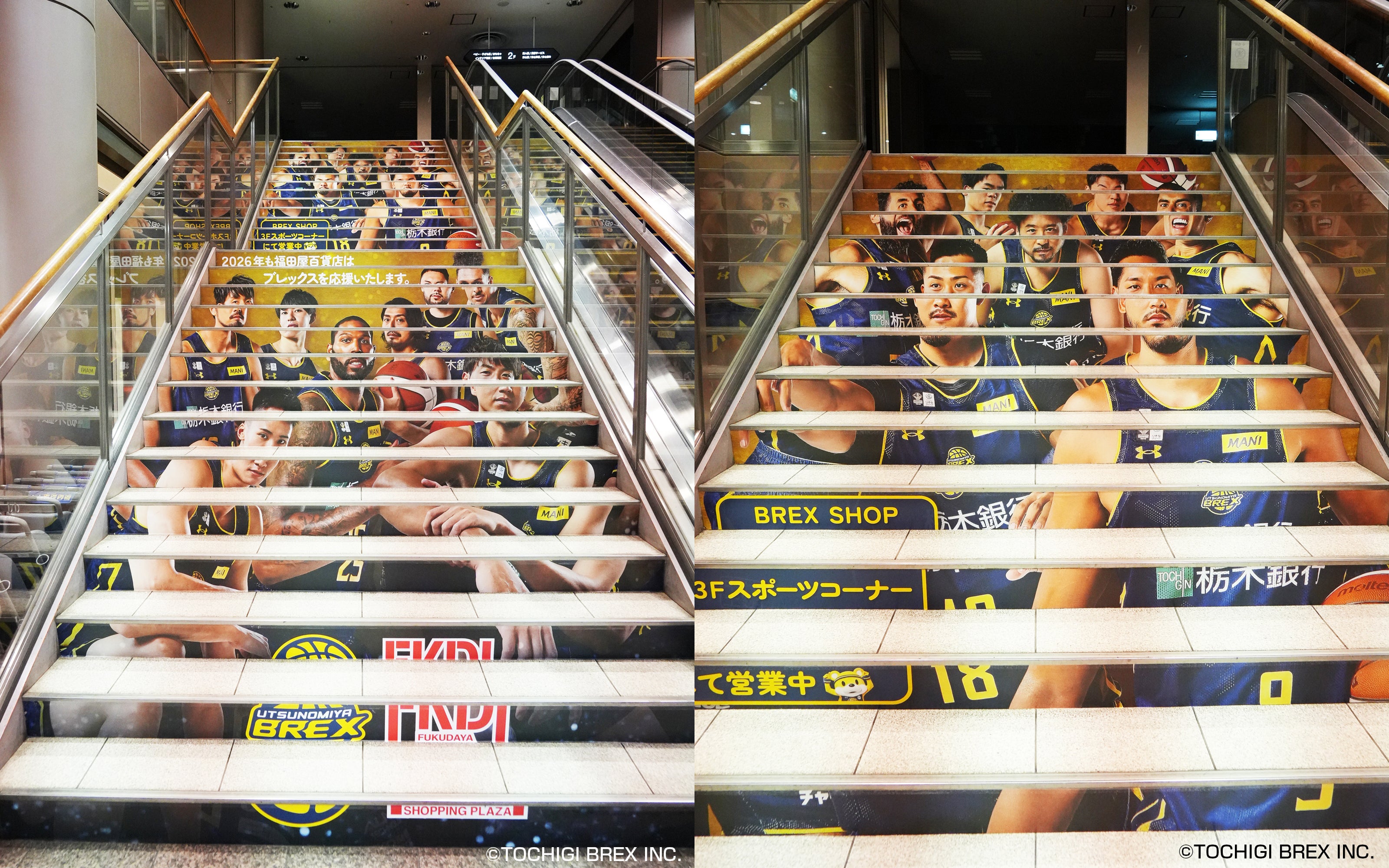 宇都宮ブレックス】Gap×ブレックス コラボ商品 発売 | 株式会社栃木