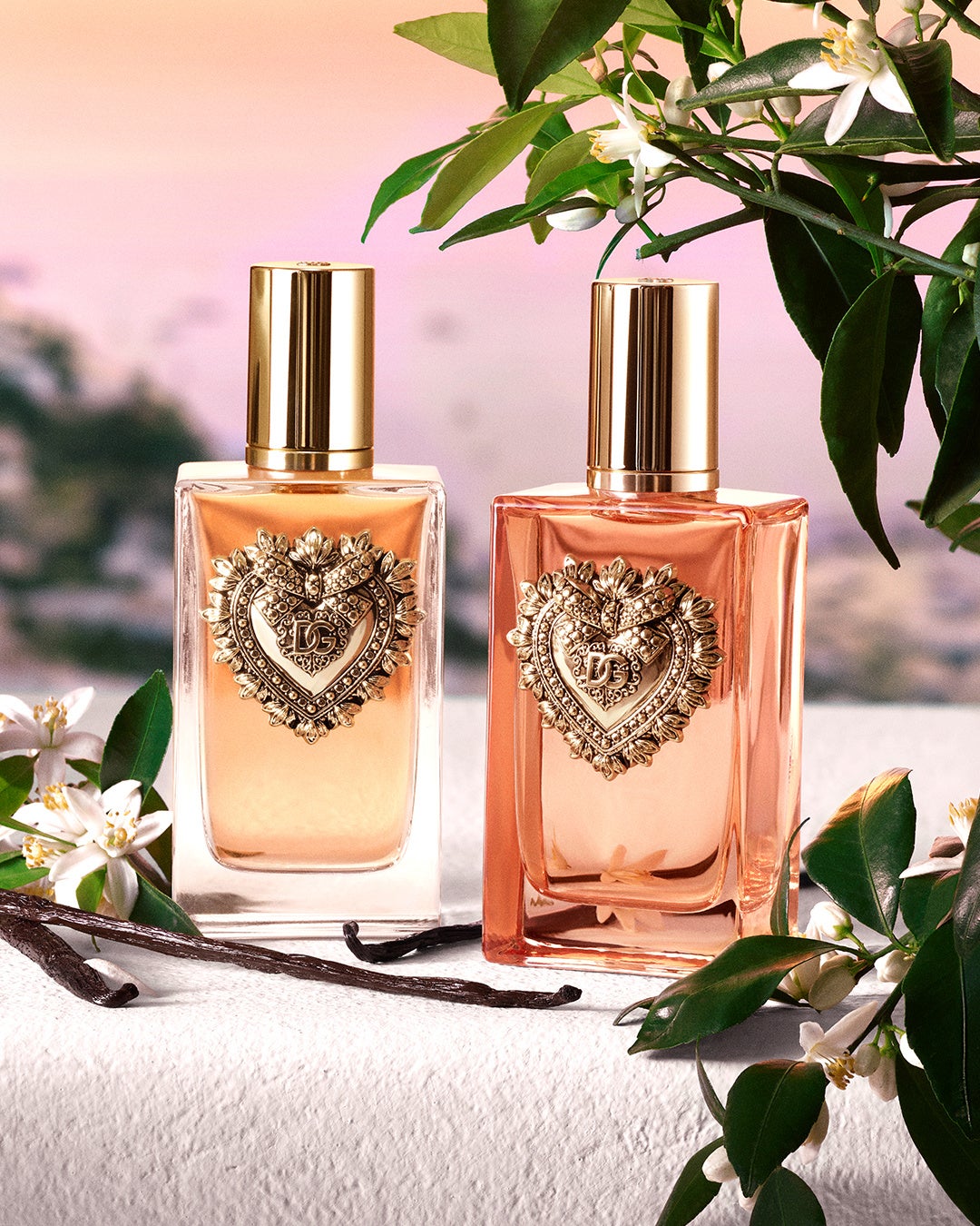 ドルチェ＆ガッバーナから、ディヴォーション オードパルファムの物語