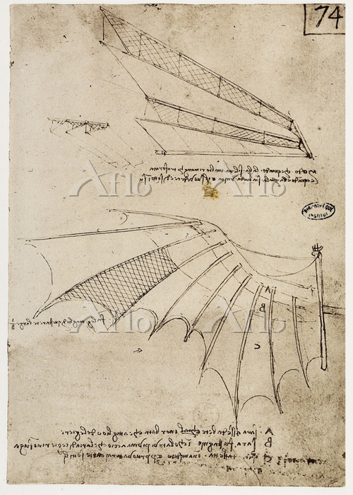 レオナルド・ダ・ヴィンチ 「人工翼設計図」（パリ手稿B） [55940027