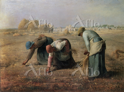 ミレー 「落穂拾い」 [15330925]のアート作品 - アフロ