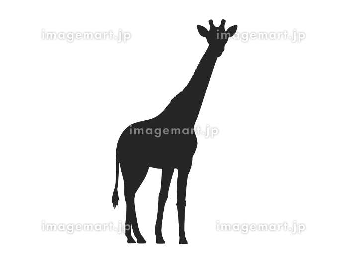 キリンのシルエットのイラスト [227099811]｜毎月1点無料（フリー）の