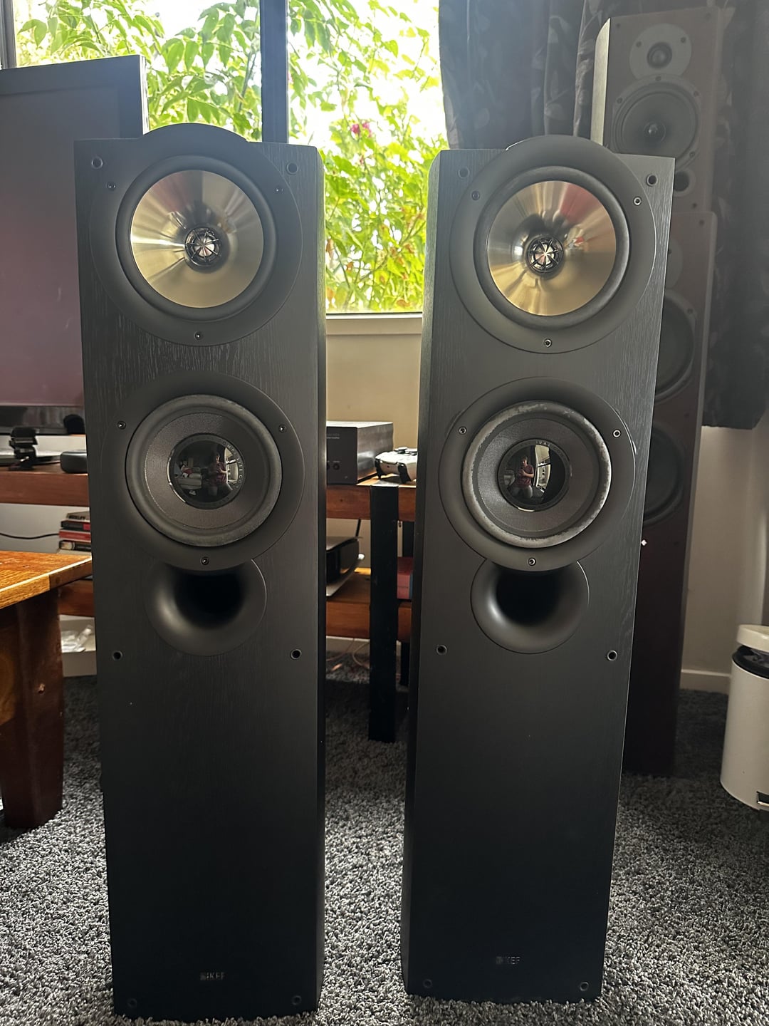KEF iQ70のペアを50NZDでゲットしたよ！ : r/BudgetAudiophile