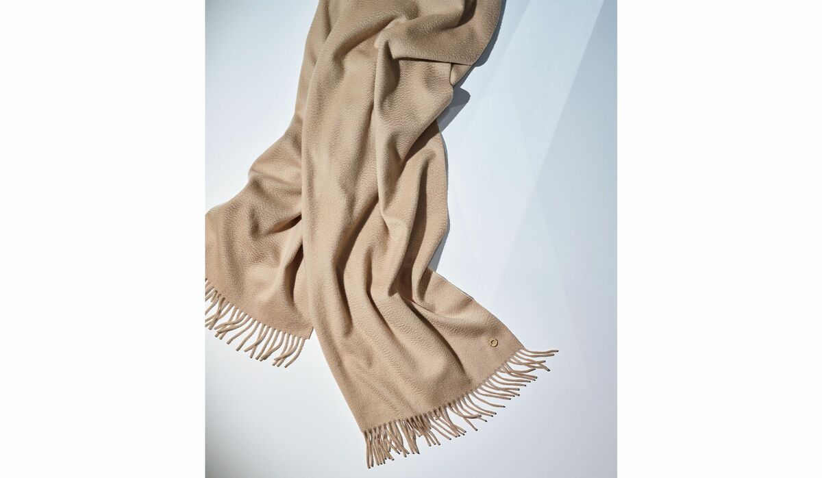 img_bc76a93537b3263fa1fd498595