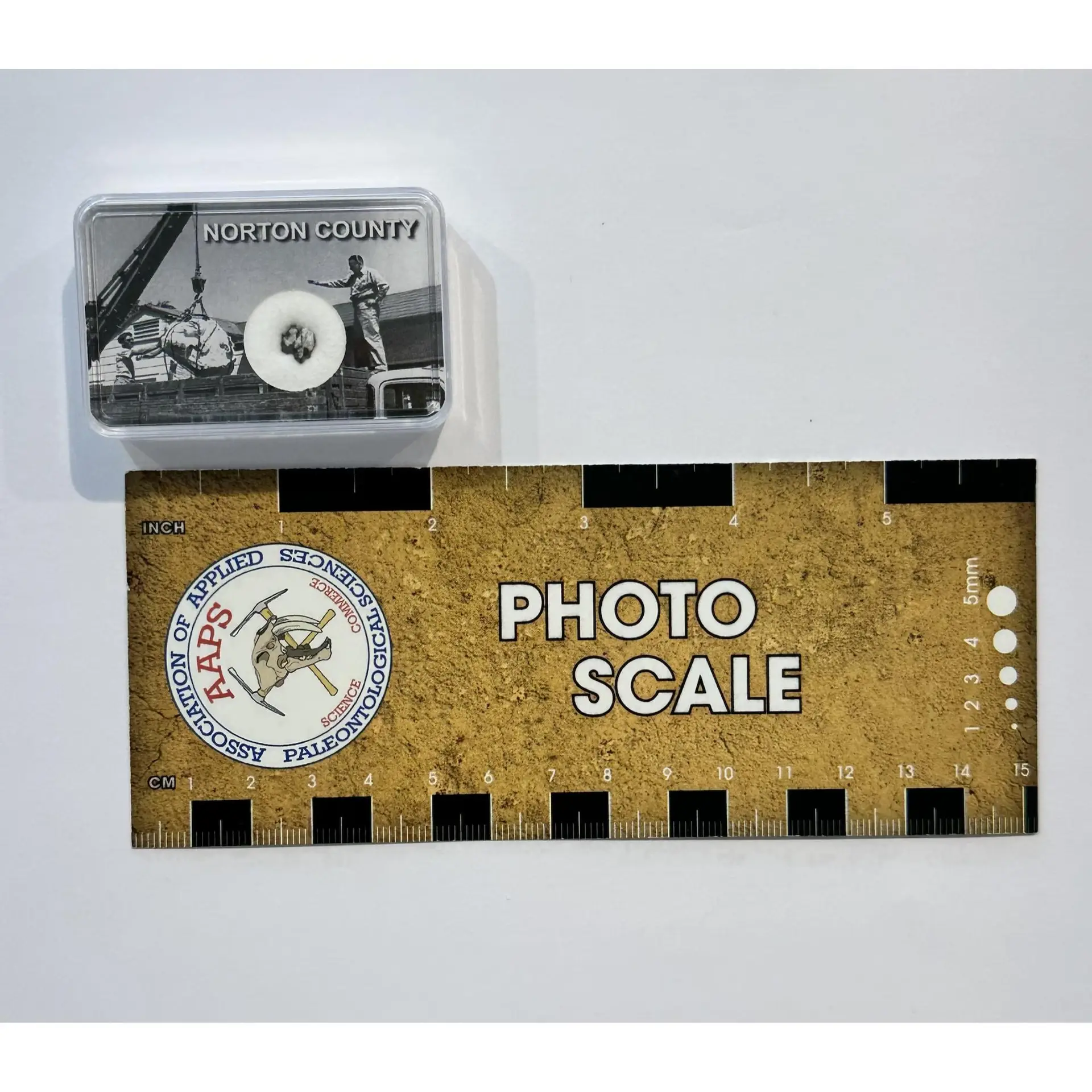 Norton County meteorite, Aubrite - Prehistoricoregon