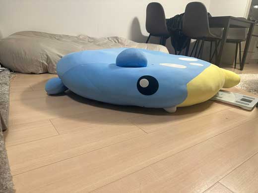 ぺたんこになったポケモンのぬいぐるみが別物過ぎて話題に 等身大