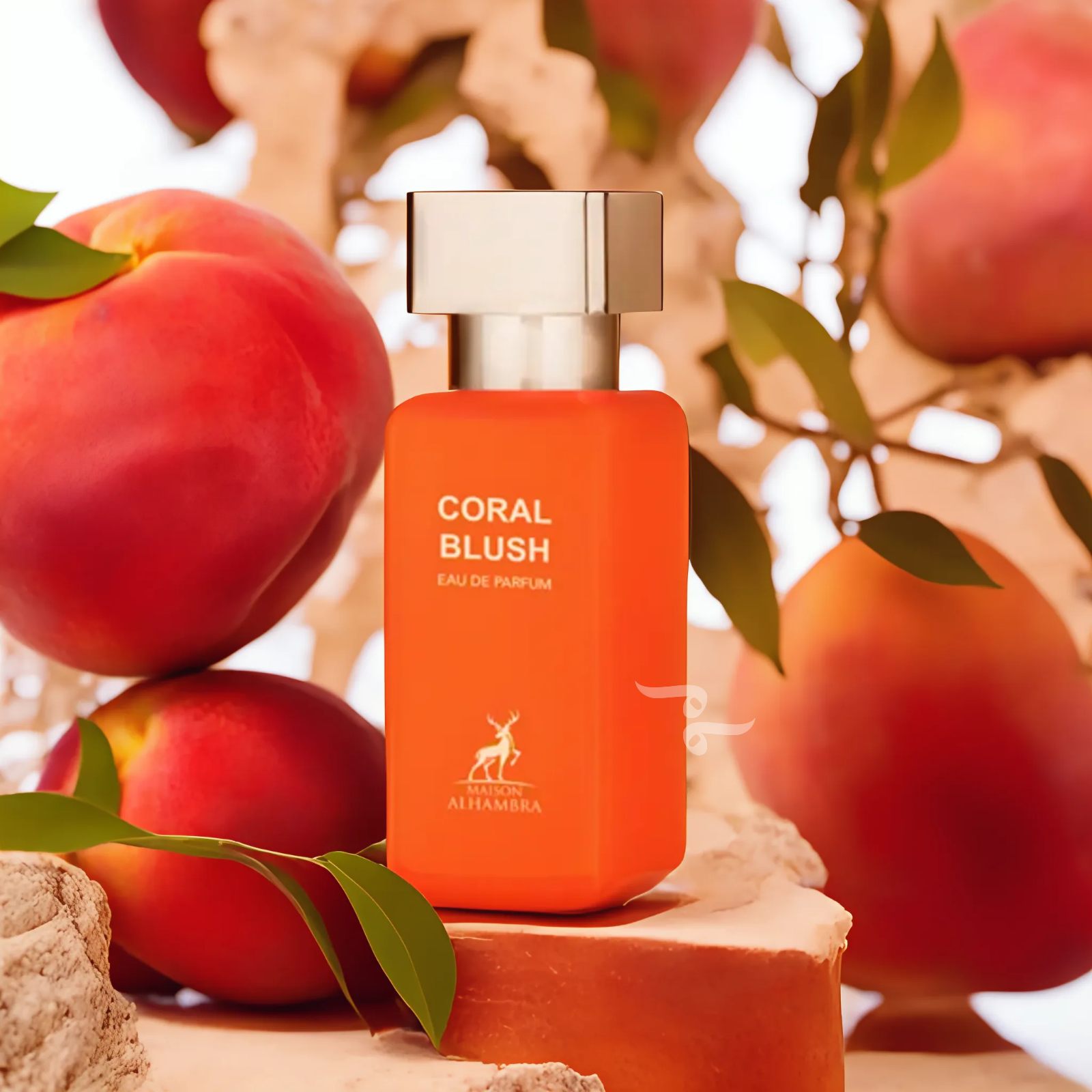 Coral Blush (Formerly Bright Peach) By Maison Al Hambra